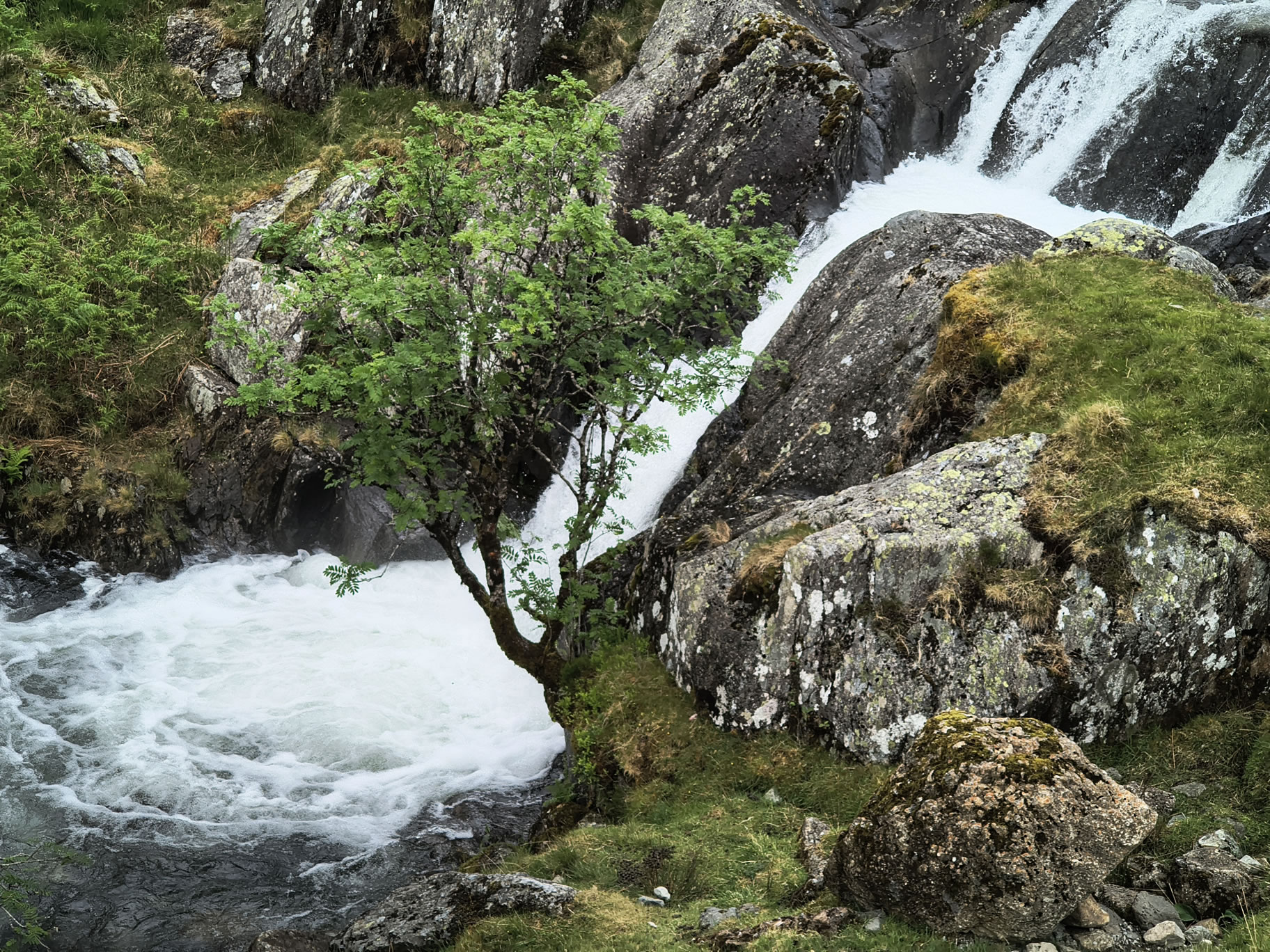 High Street May 30, 2025 - Image 23