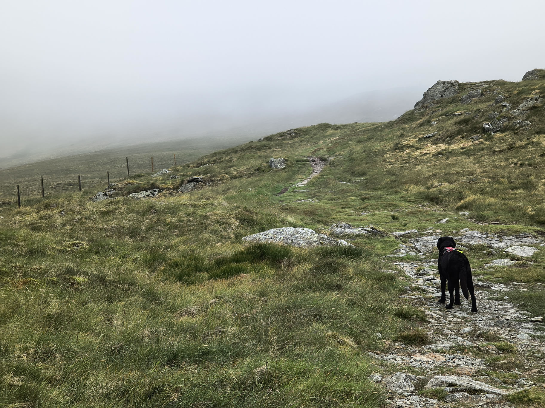 Harter Fell Jun 25, 2025 - Image 6
