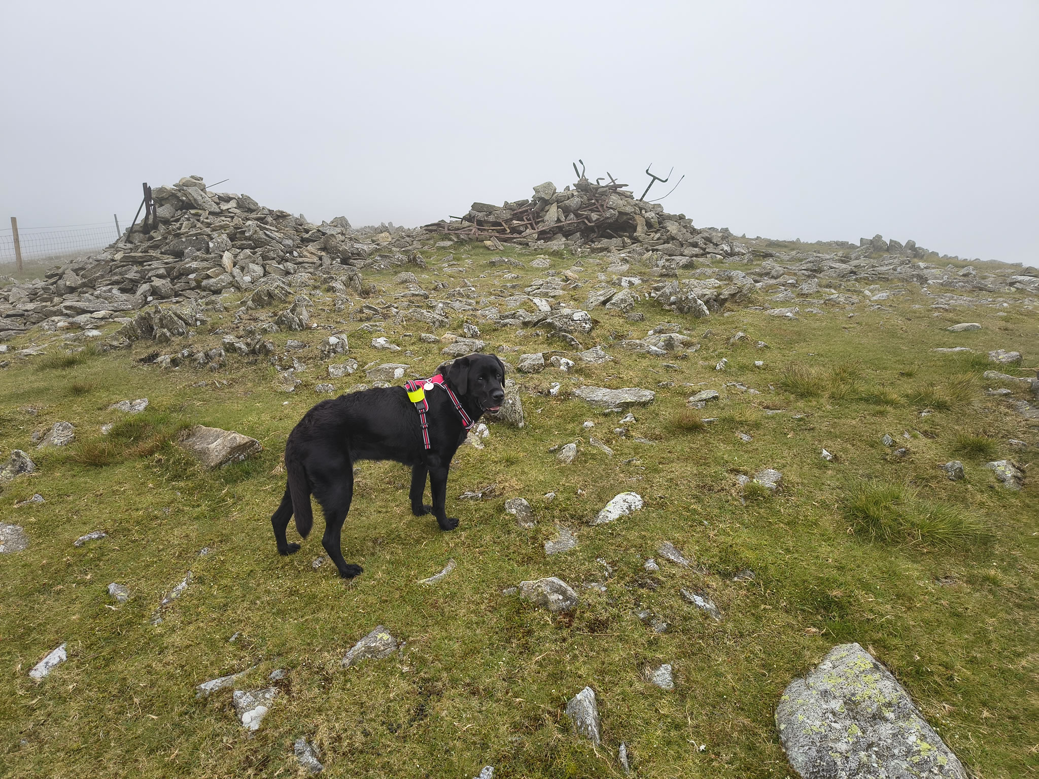 Harter Fell Jun 25, 2025 - Image 8