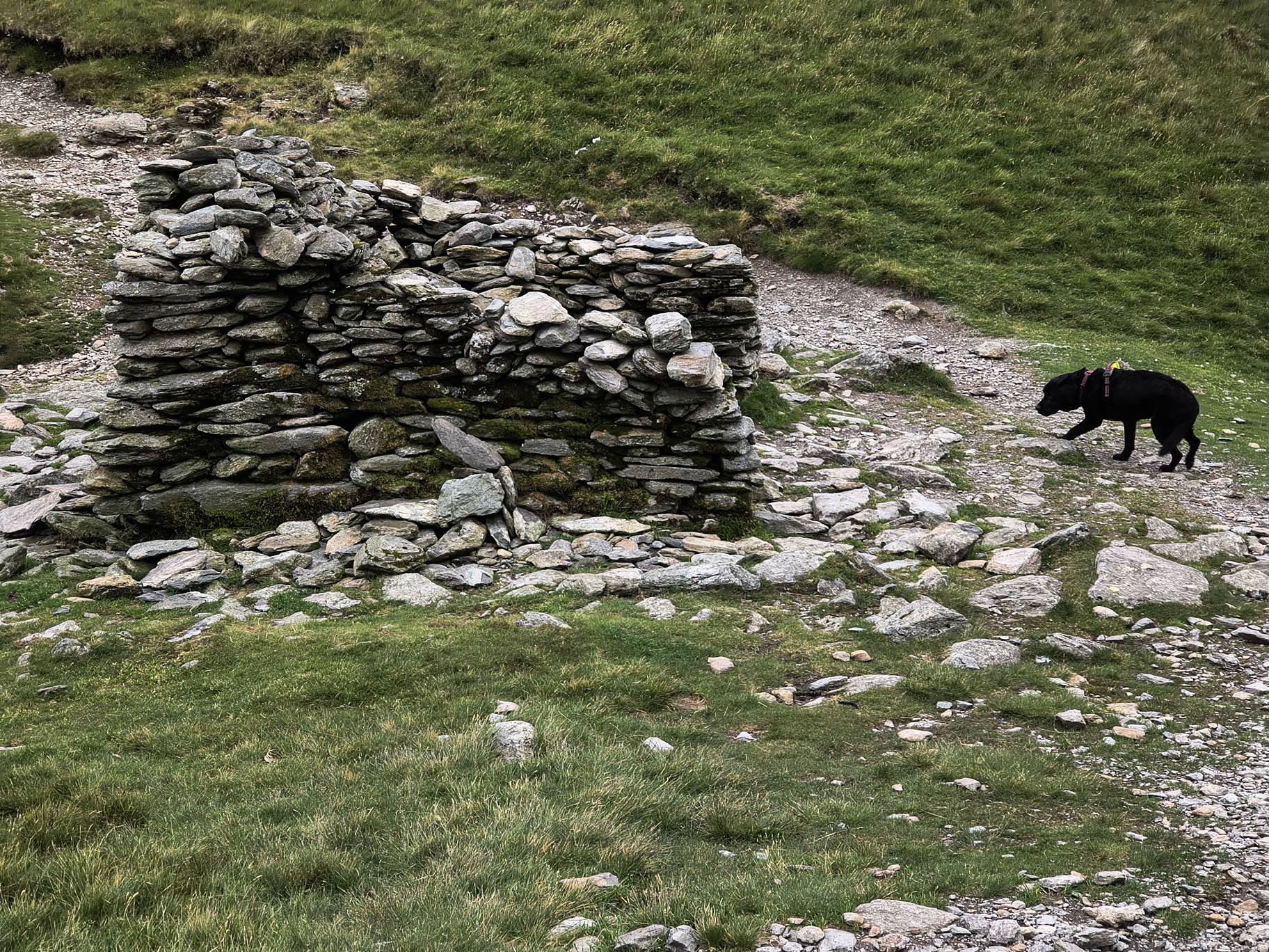 Harter Fell Jun 25, 2025 - Image 12