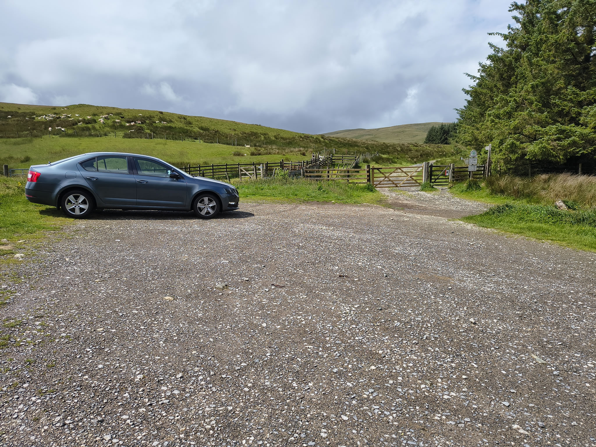 The Dodds, Raise Jun 26, 2025 - Image 2