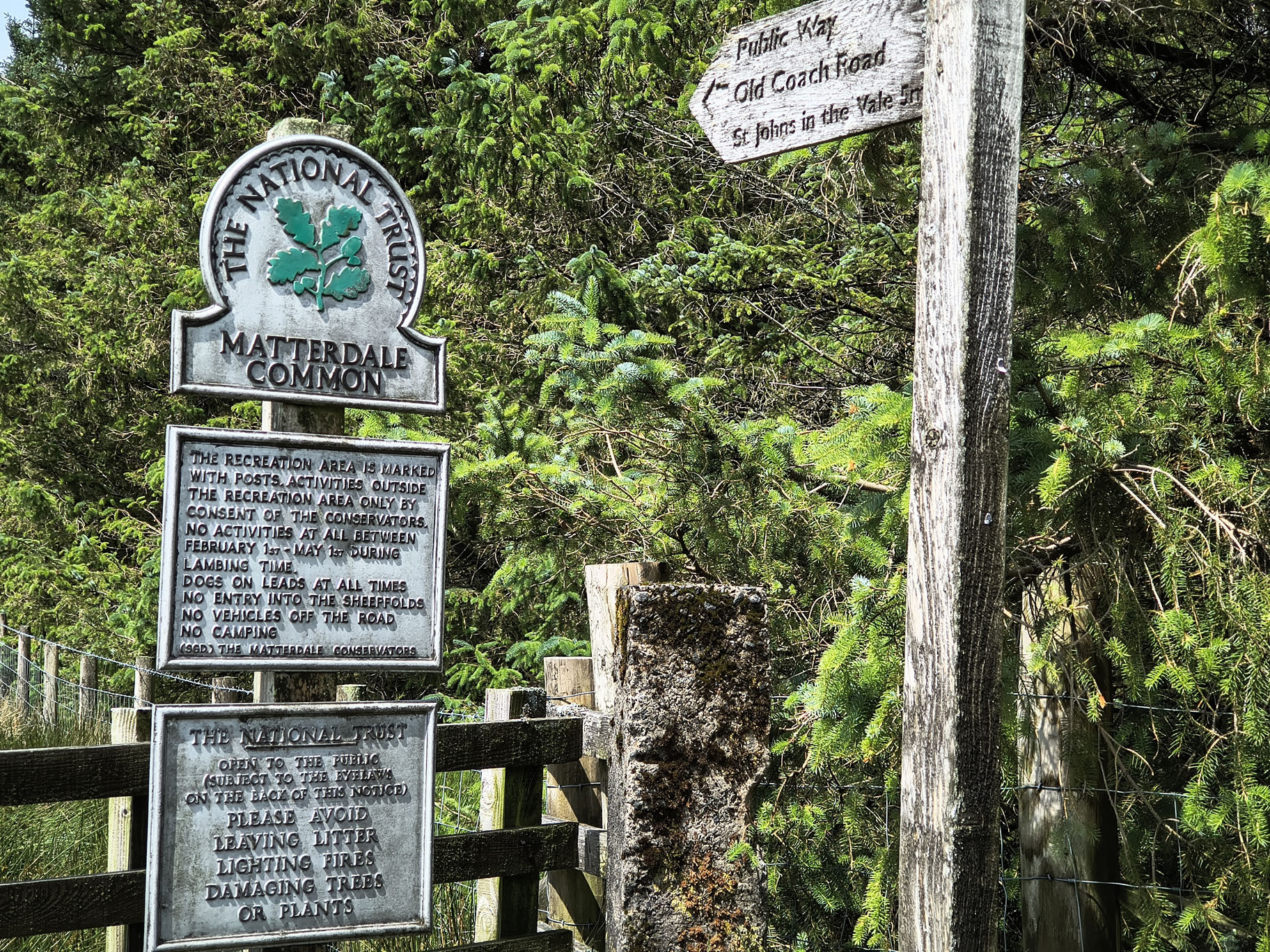 The Dodds, Raise Jun 26, 2025 - Image 3