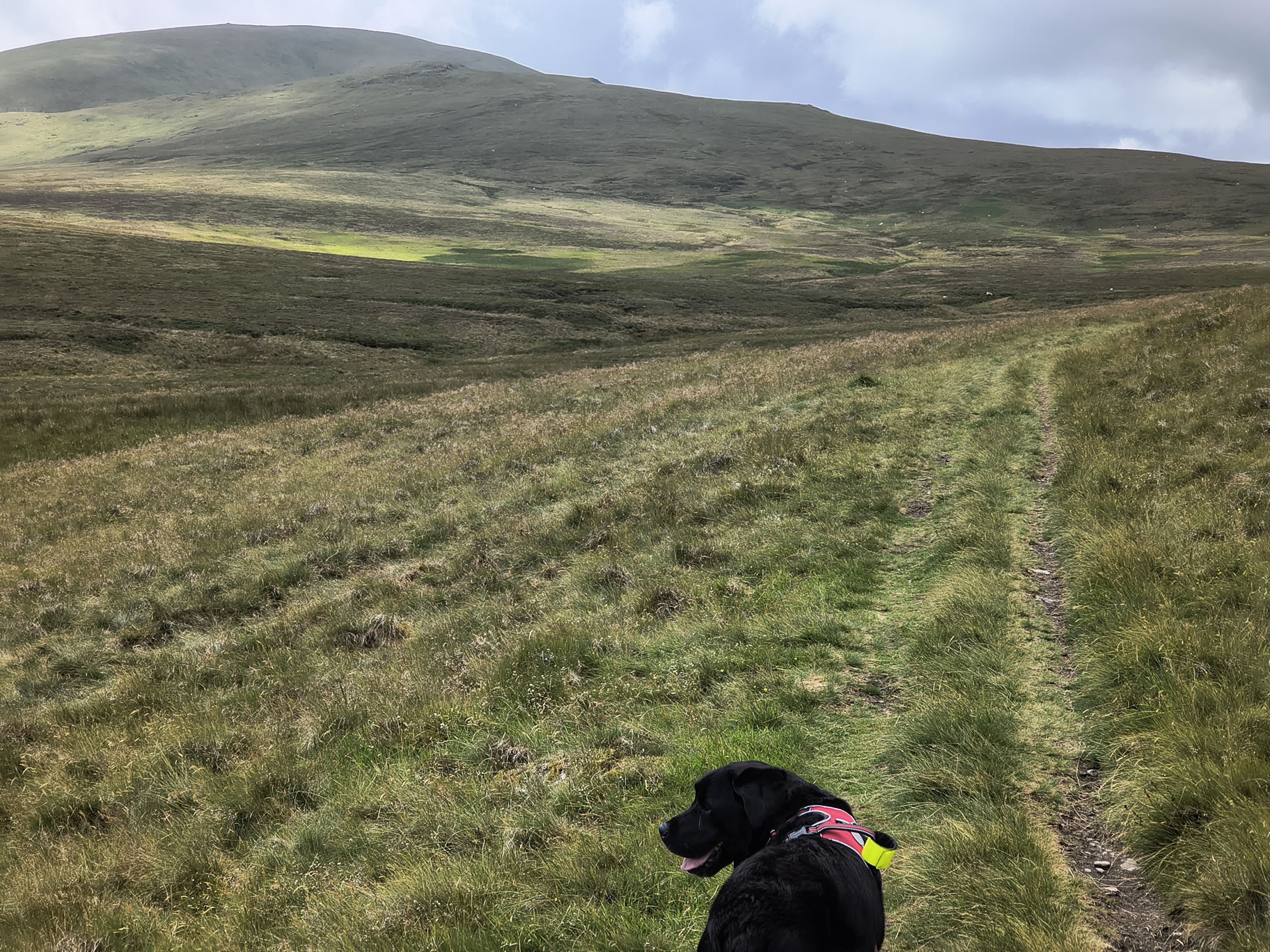 The Dodds, Raise Jun 26, 2025 - Image 7