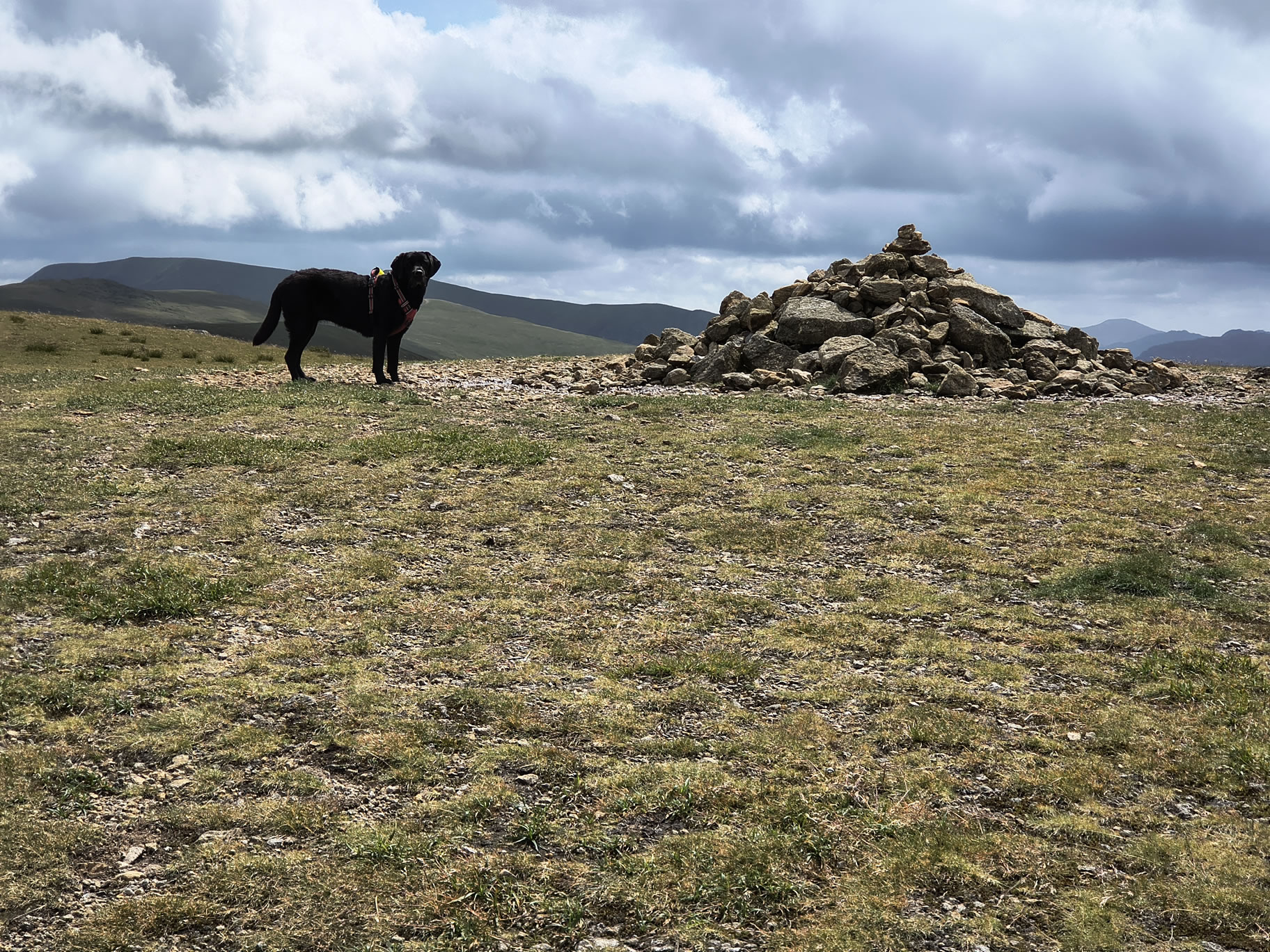The Dodds, Raise Jun 26, 2025 - Image 8