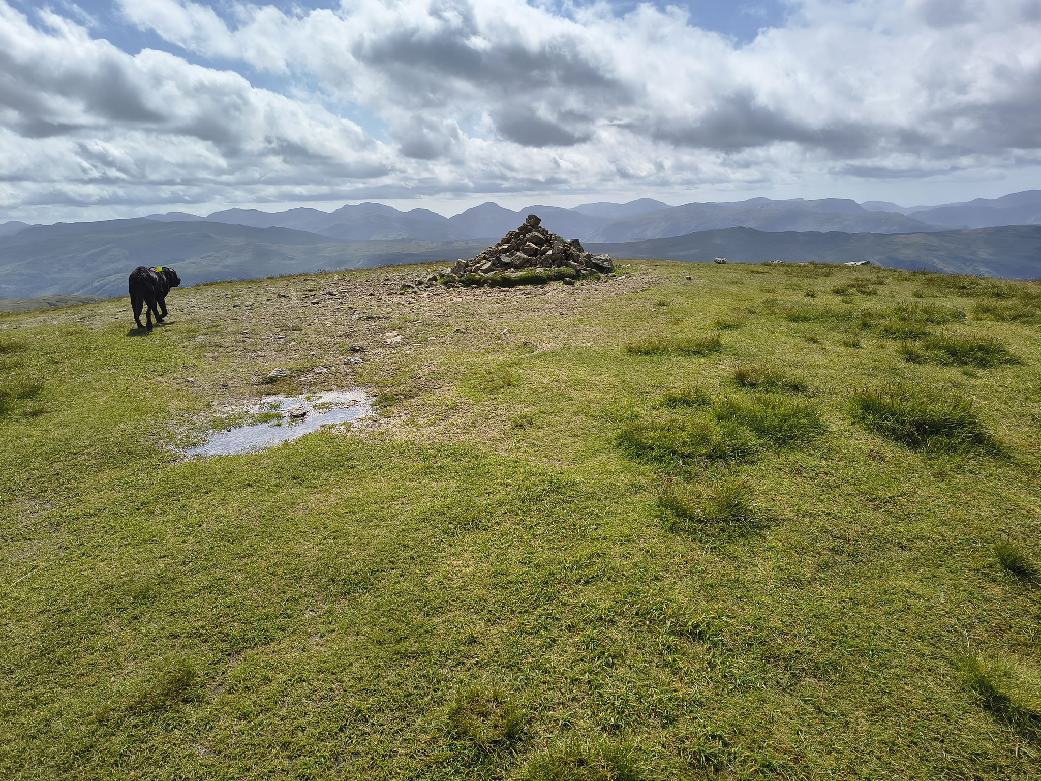The Dodds, Raise Jun 26, 2025 - Image 12