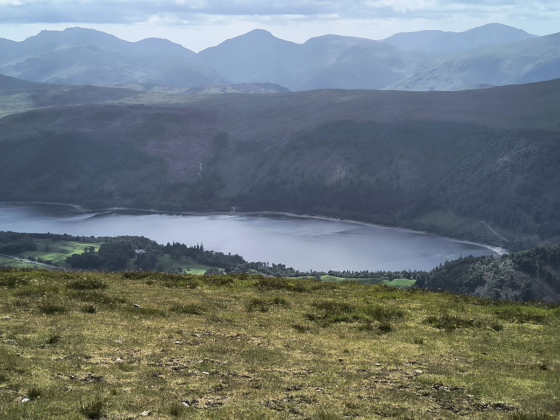 The Dodds, Raise Jun 26, 2025 - Image 13