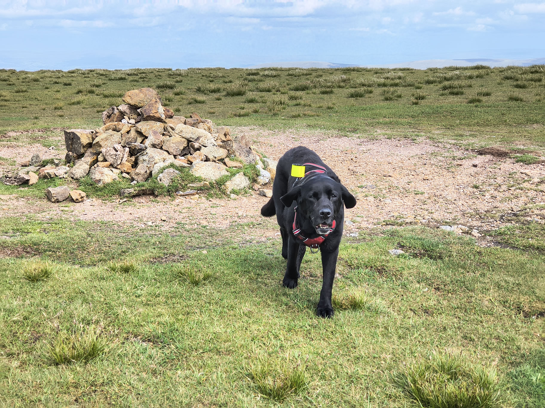 The Dodds, Raise Jun 26, 2025 - Image 14