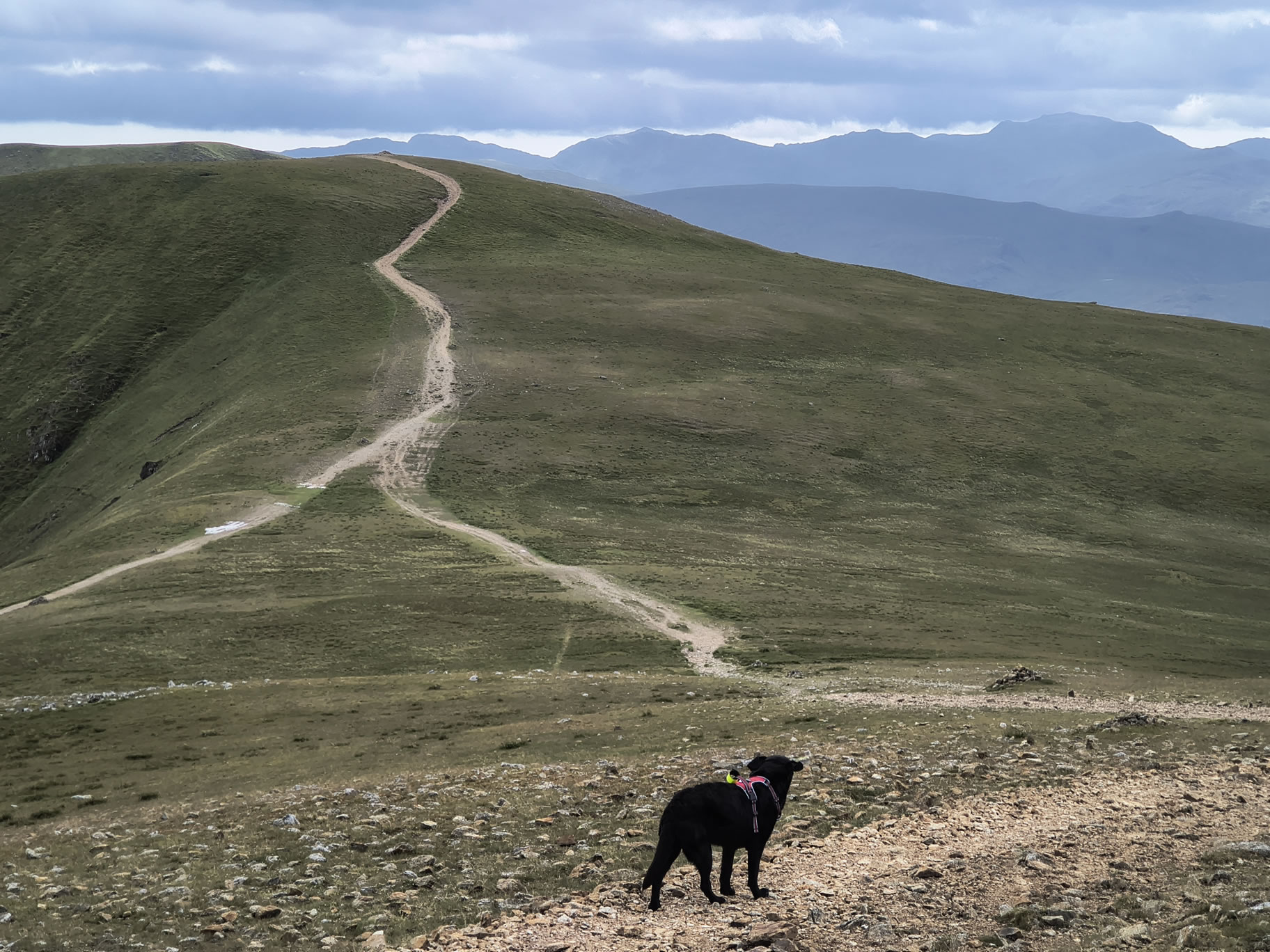 The Dodds, Raise Jun 26, 2025 - Image 16