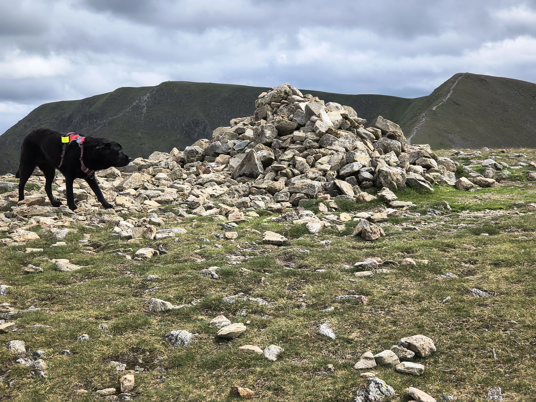 The Dodds, Raise Jun 26, 2025 - Image 17