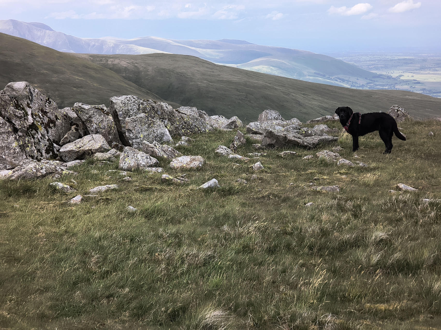 The Dodds, Raise Jun 26, 2025 - Image 18