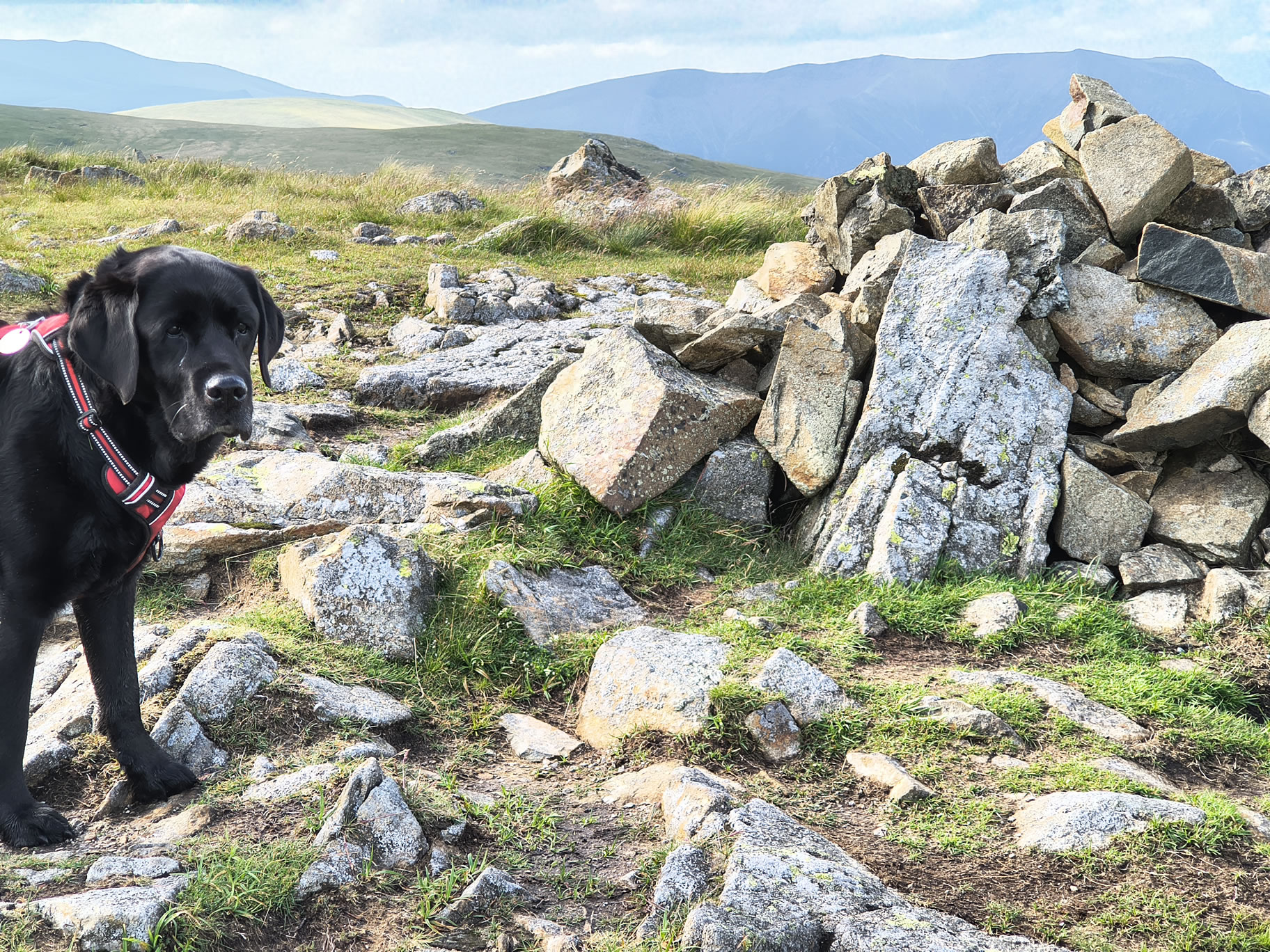 The Dodds, Raise Jun 26, 2025 - Image 19