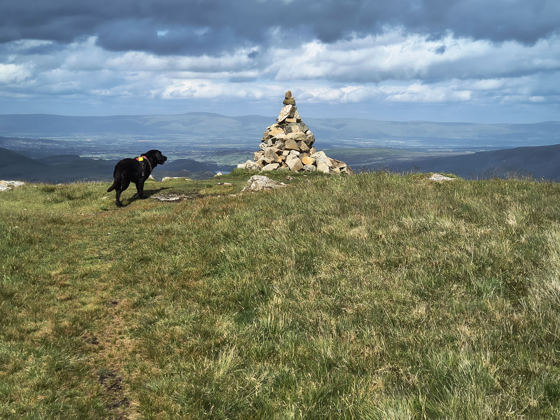 The Dodds, Raise Jun 26, 2025 - Image 20