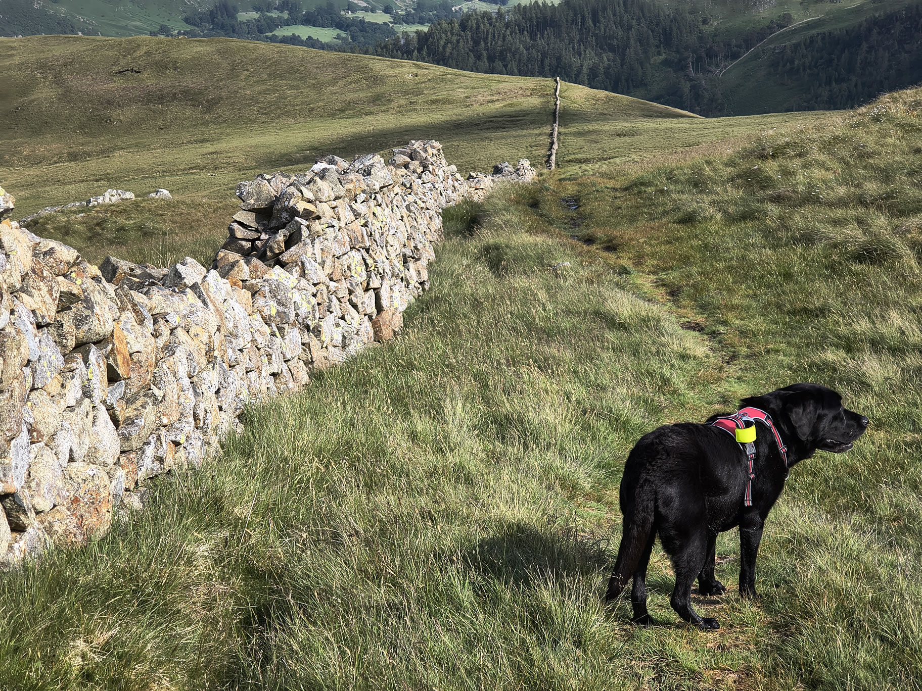 The Dodds, Raise Jun 26, 2025 - Image 21