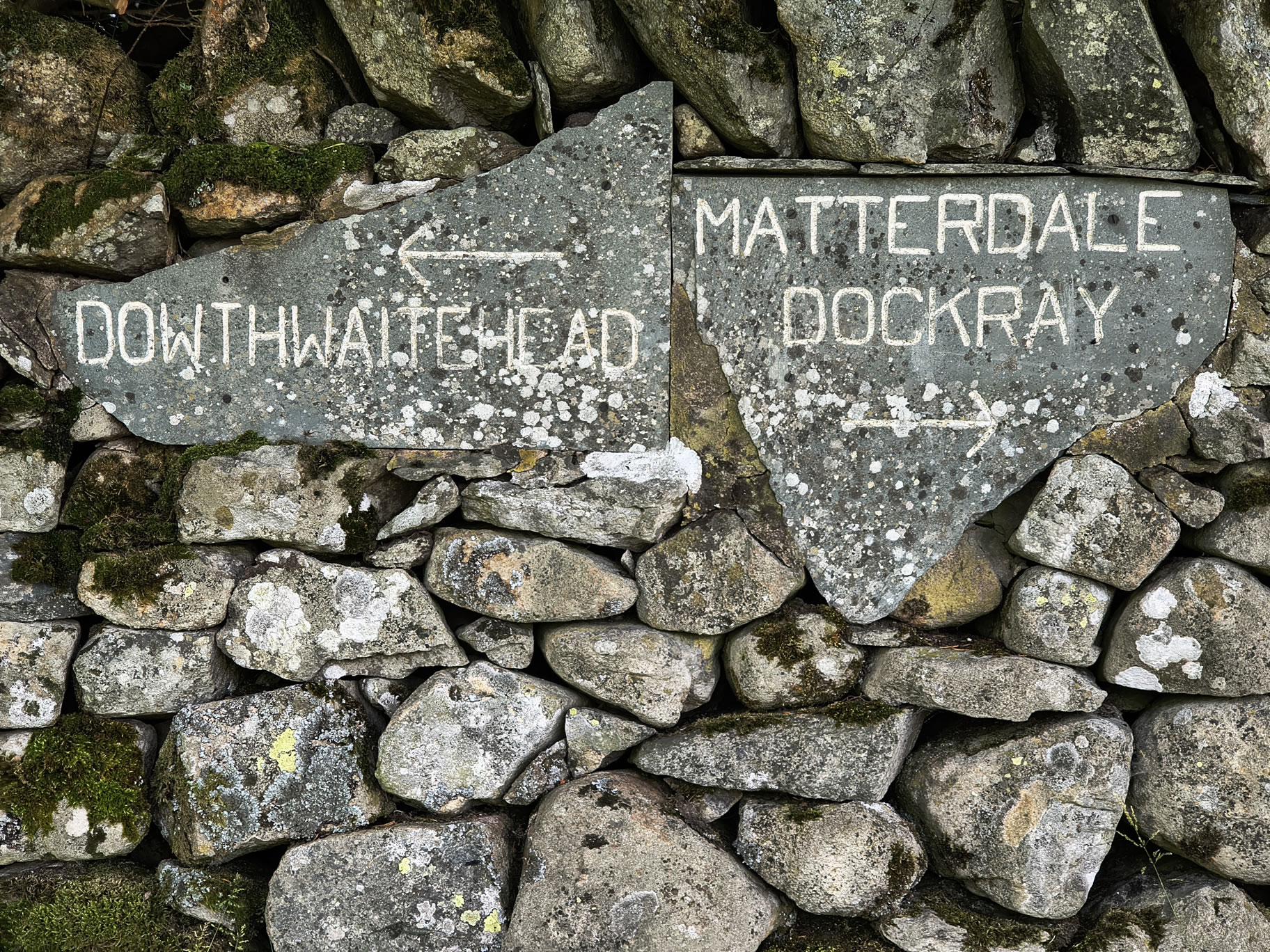 The Dodds, Raise Jun 26, 2025 - Image 22