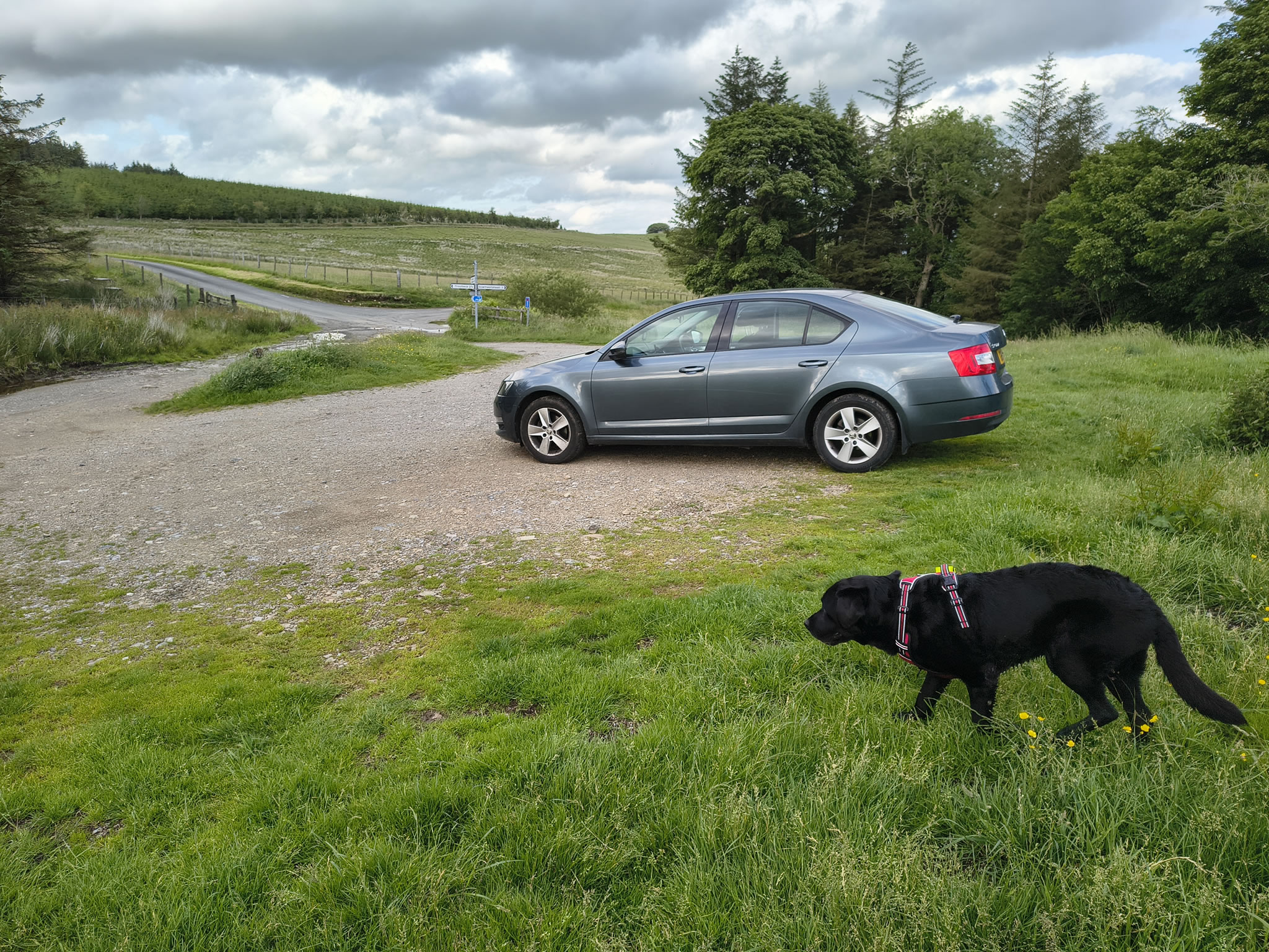 The Dodds, Raise Jun 26, 2025 - Image 23