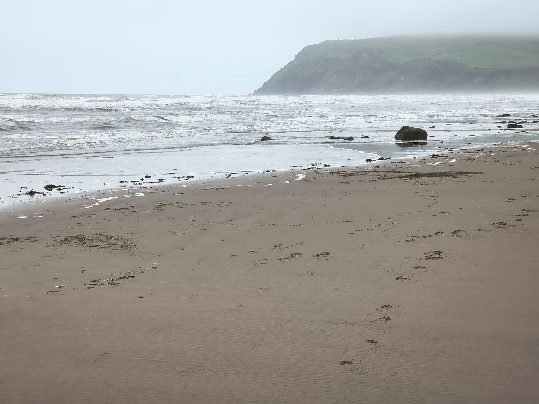 St Bees Jun 28, 2025 - Image 2