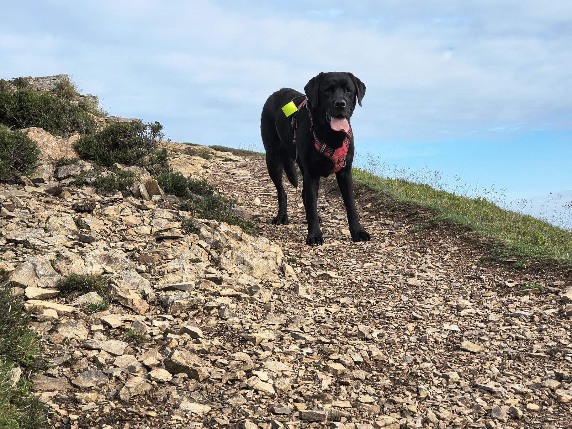 Causey Ridge, Grasmoor Jun 29, 2025 - Image 8