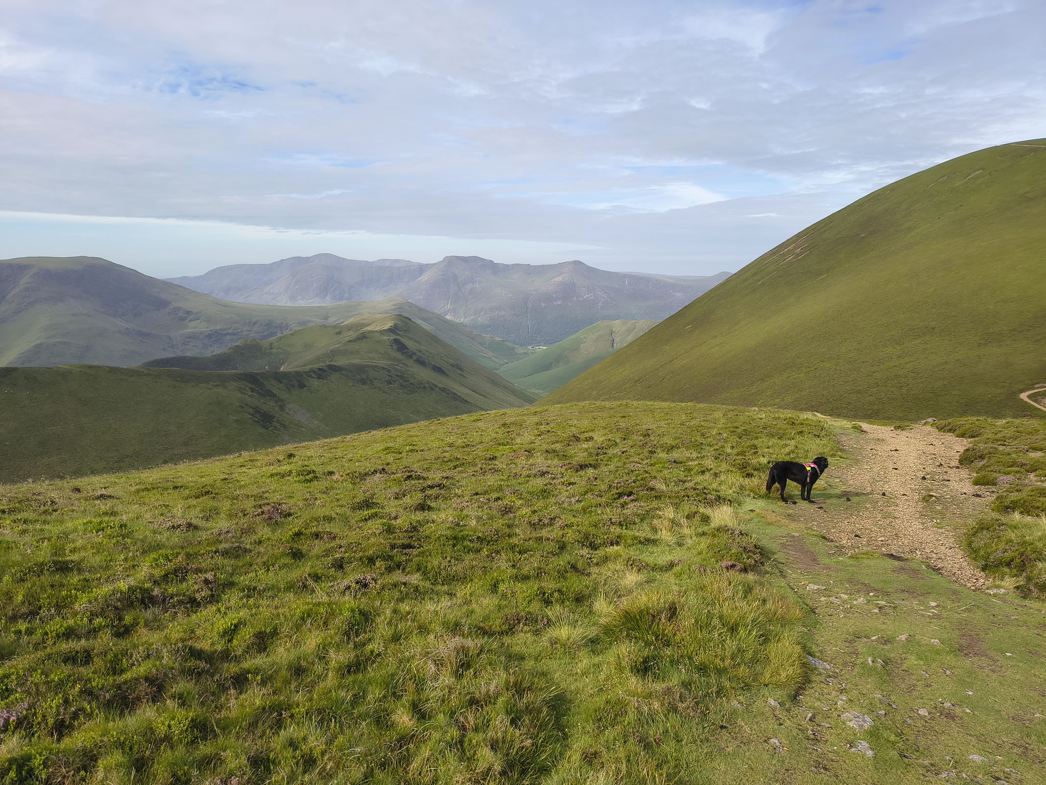 Causey Ridge, Grasmoor Jun 29, 2025 - Image 10