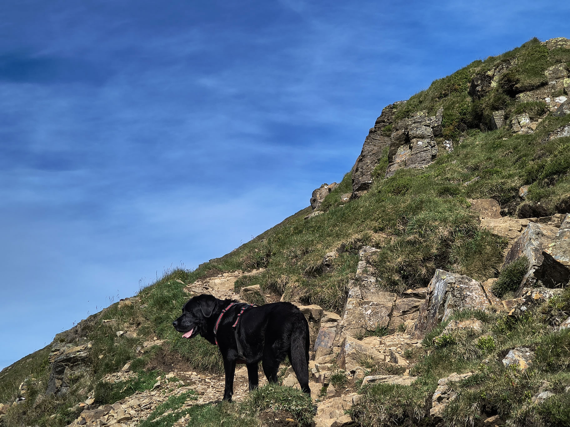 Causey Ridge, Grasmoor Jun 29, 2025 - Image 14