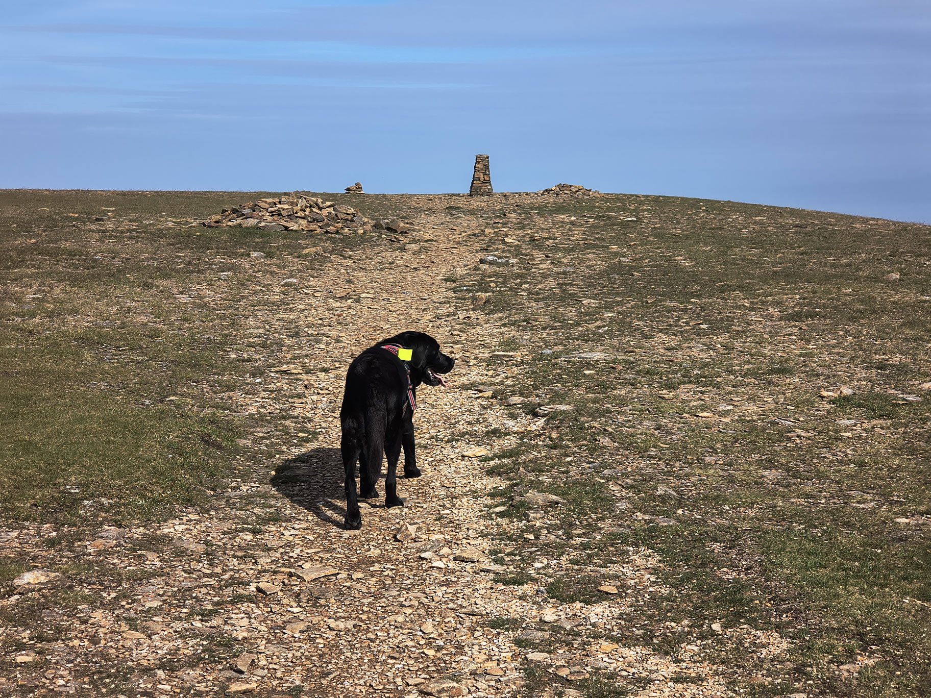 Causey Ridge, Grasmoor Jun 29, 2025 - Image 15