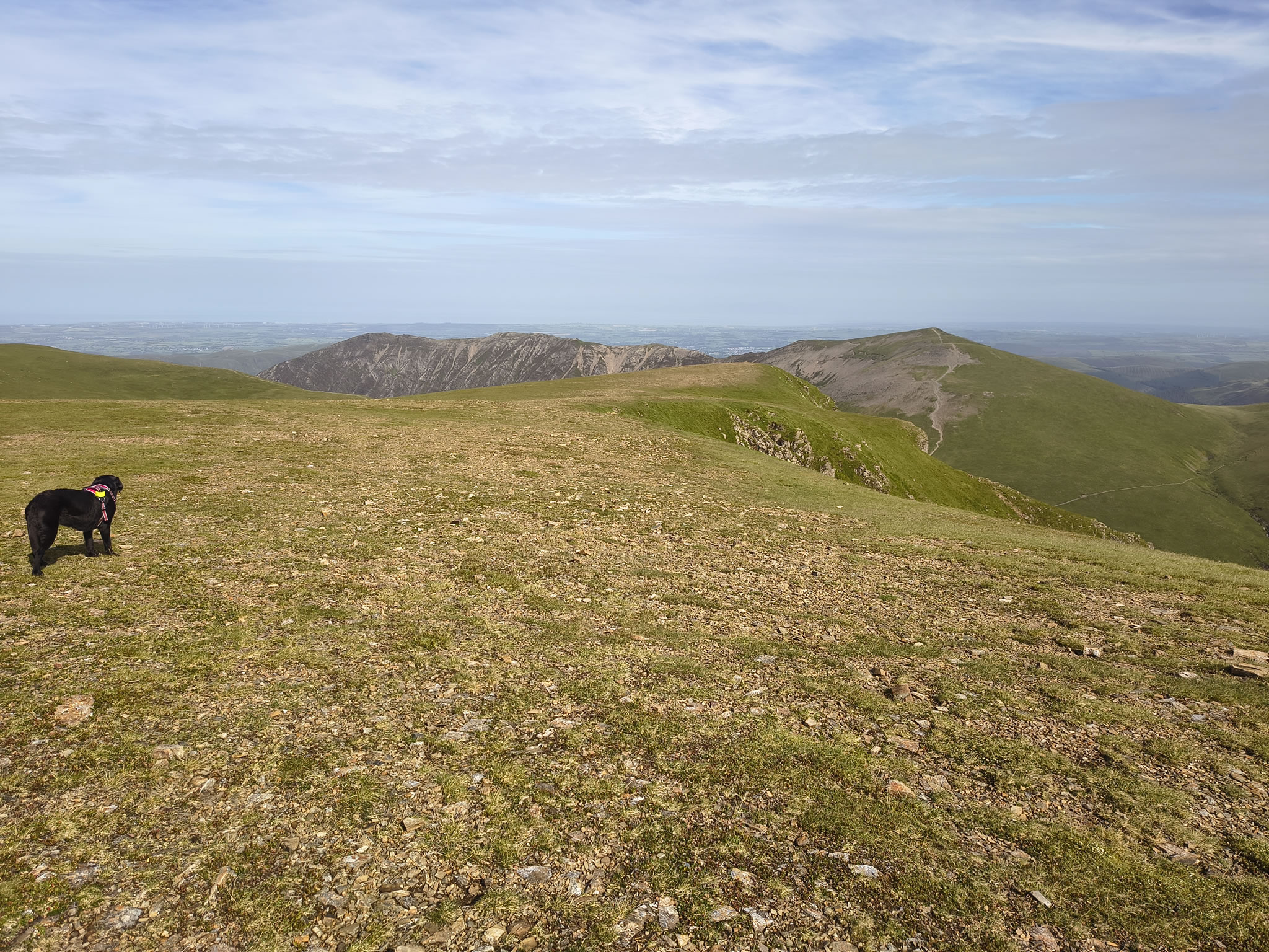 Causey Ridge, Grasmoor Jun 29, 2025 - Image 17