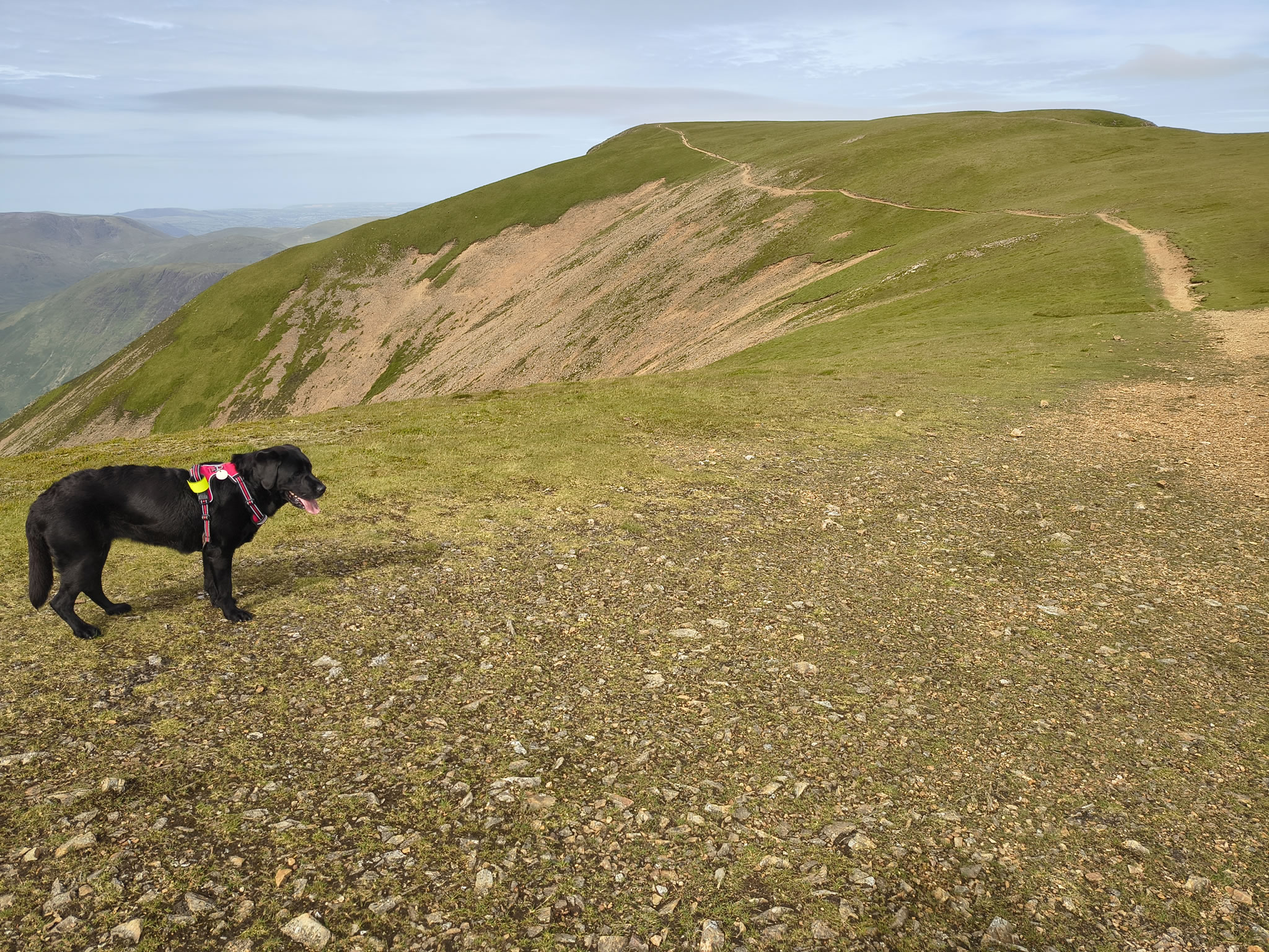 Causey Ridge, Grasmoor Jun 29, 2025 - Image 20
