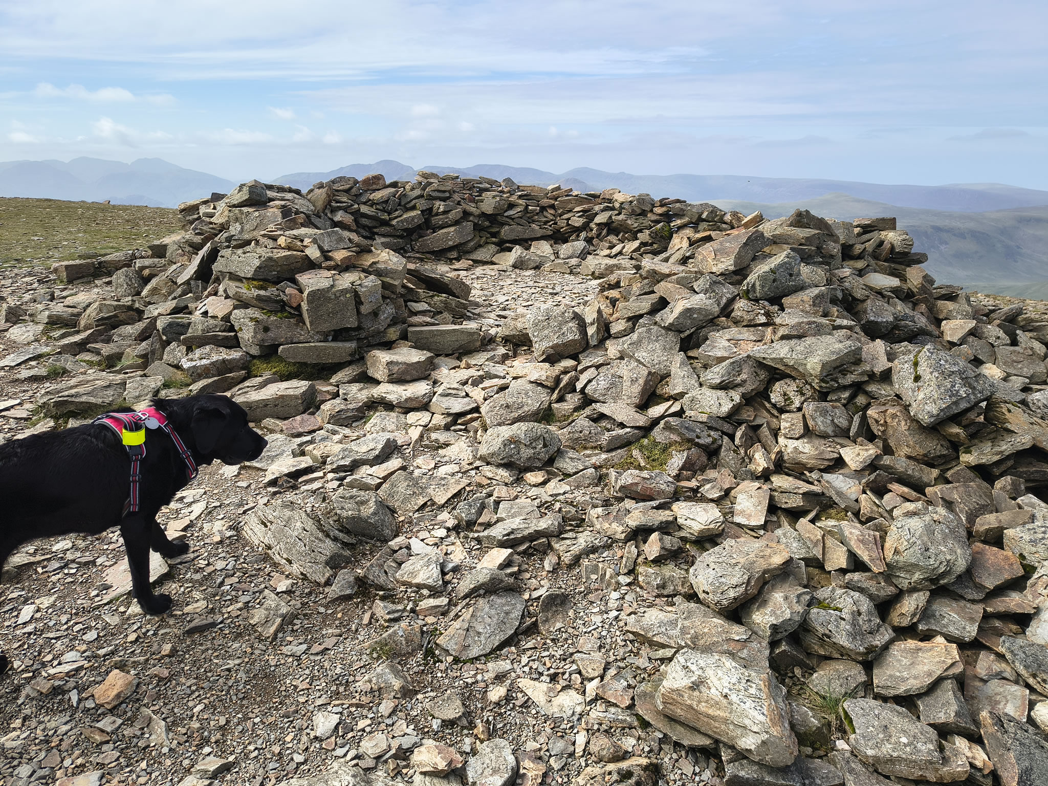 Causey Ridge, Grasmoor Jun 29, 2025 - Image 23
