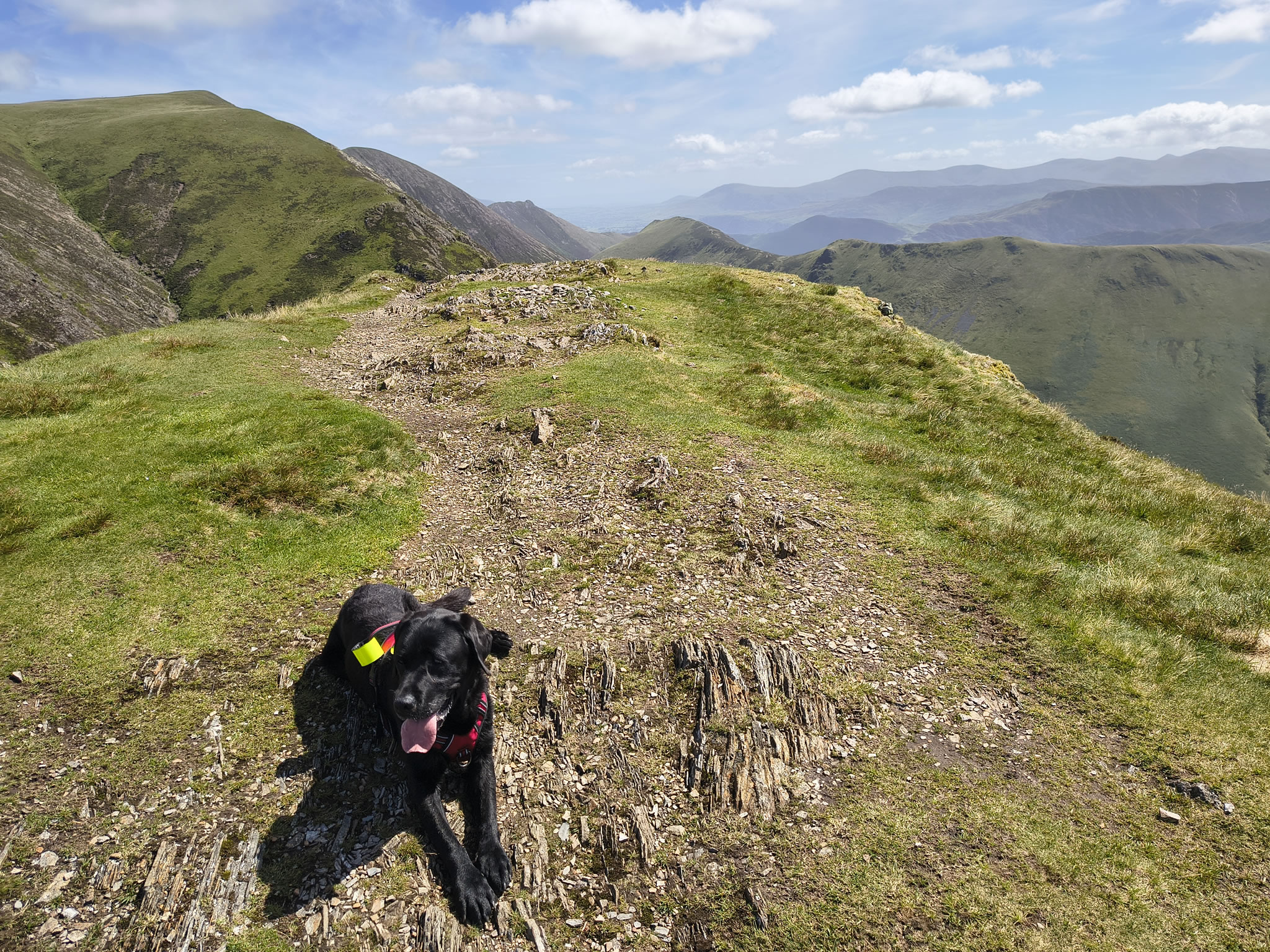 Causey Ridge, Grasmoor Jun 29, 2025 - Image 29