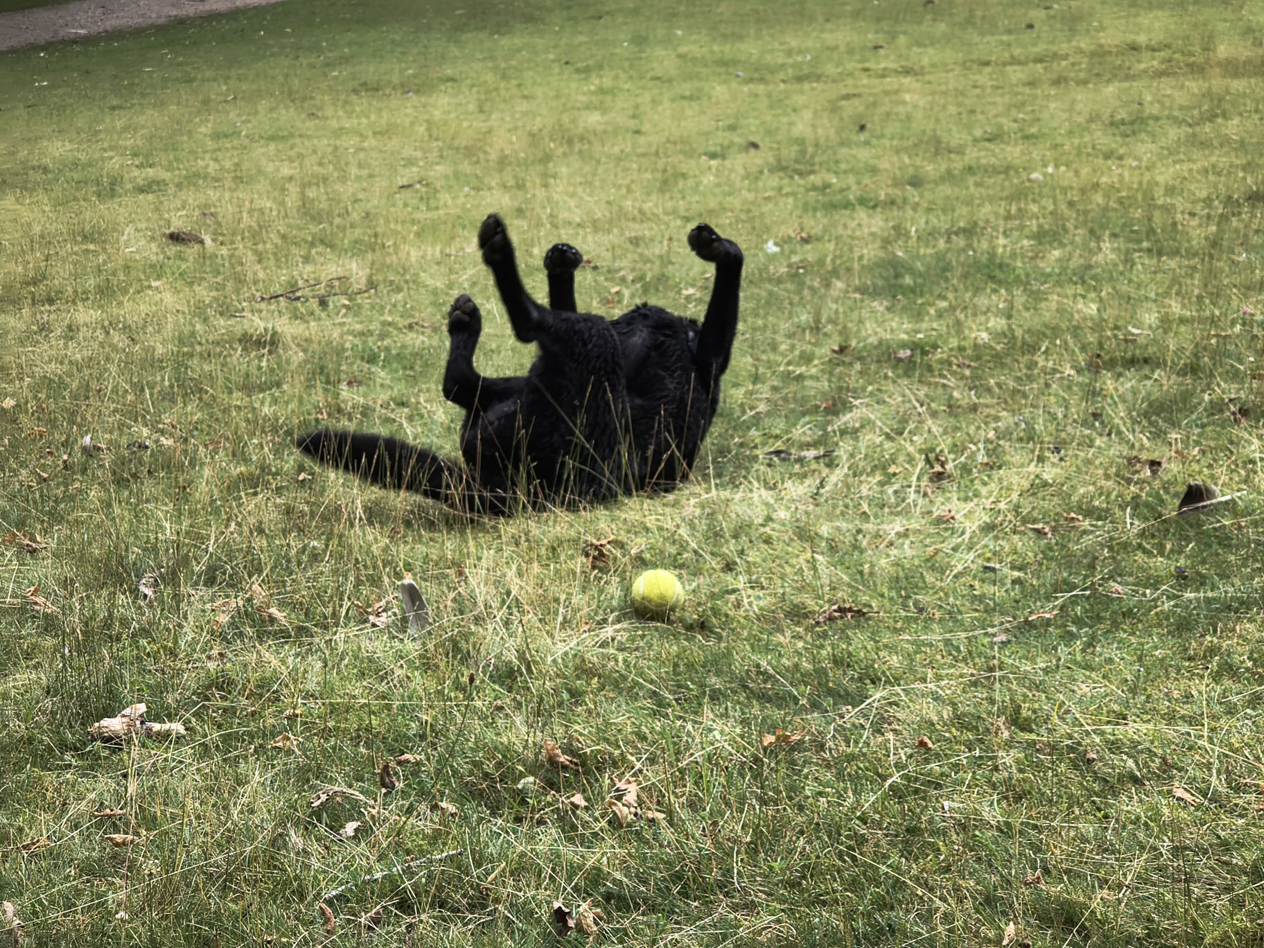 Derwent Water Jun 30, 2025 - Image 6