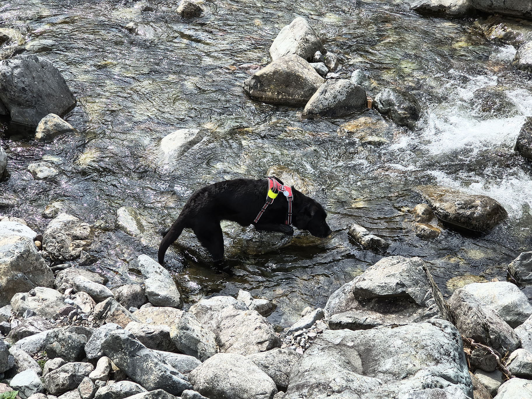 Crinkle Crags, Bowfell Jul 02, 2025 - Image 4
