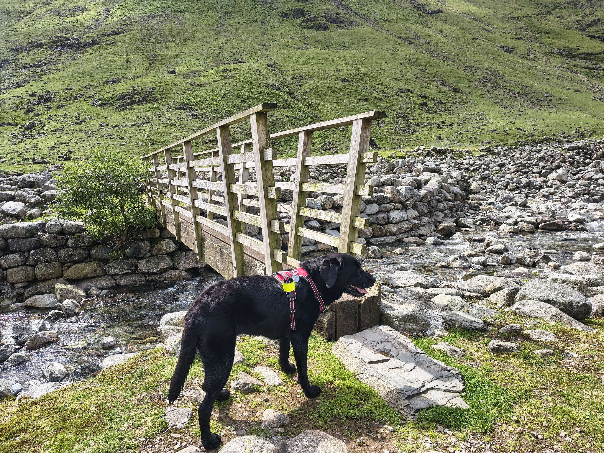 Crinkle Crags, Bowfell Jul 02, 2025 - Image 5