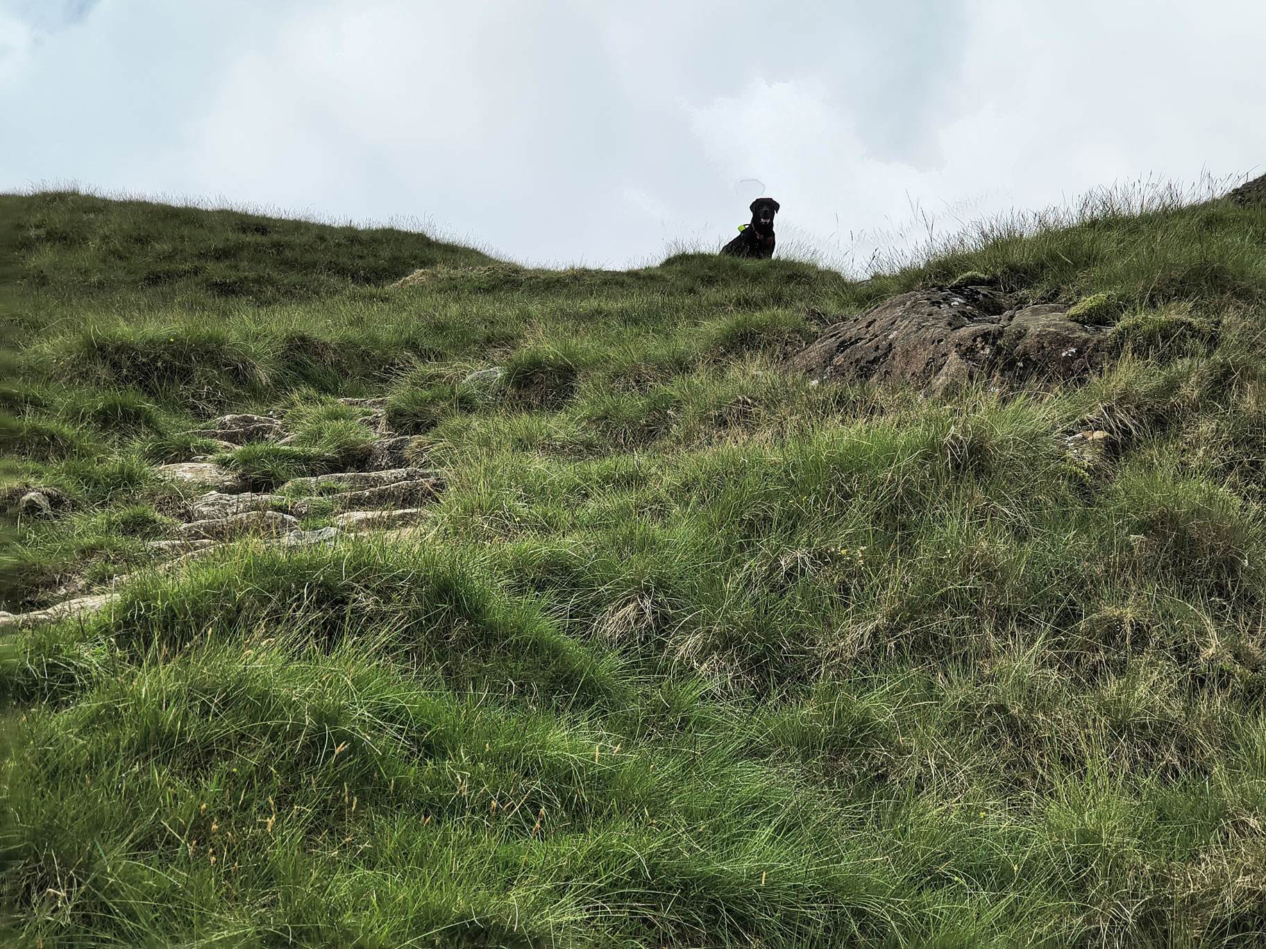 Crinkle Crags, Bowfell Jul 02, 2025 - Image 7