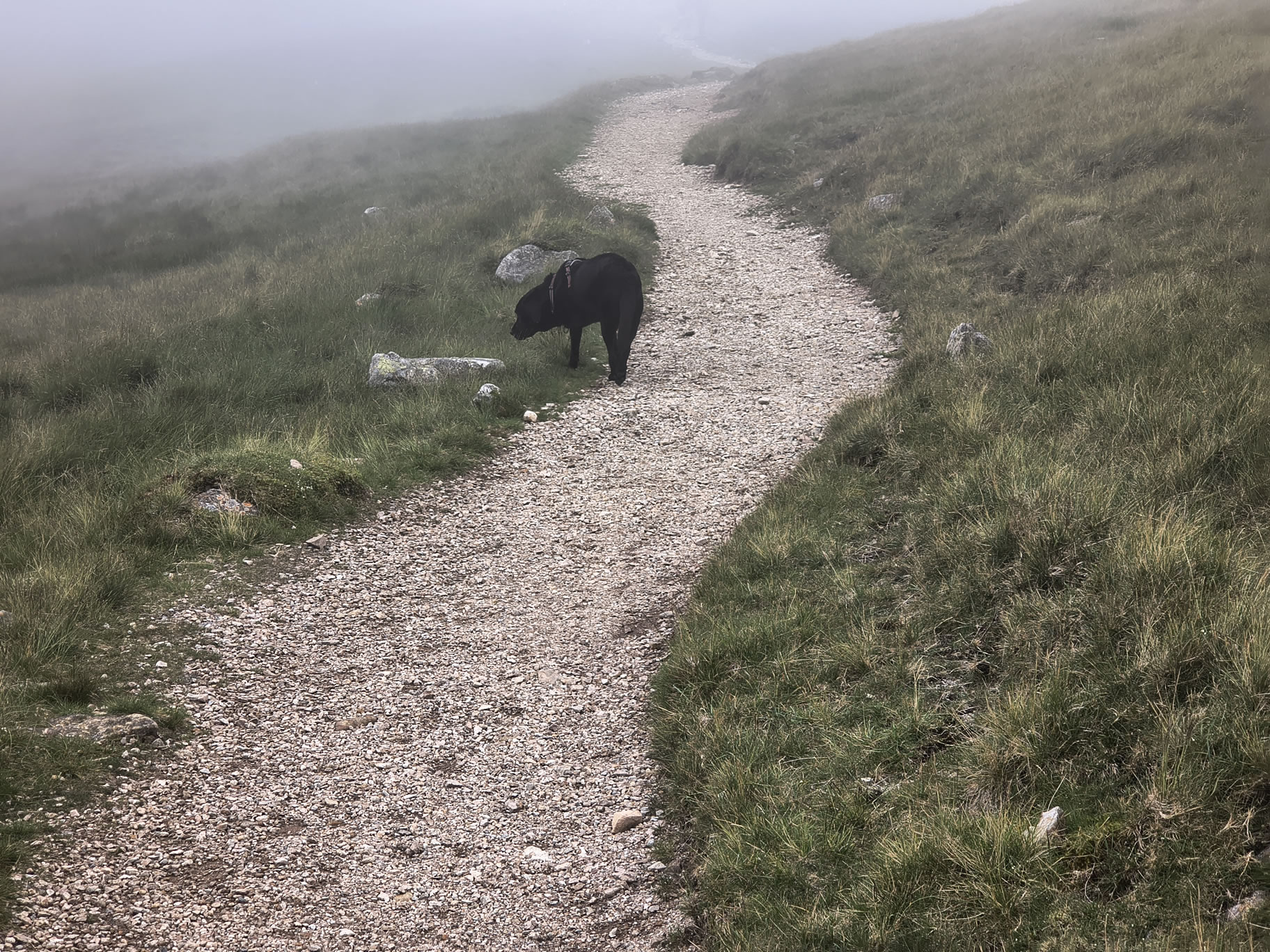 Crinkle Crags, Bowfell Jul 02, 2025 - Image 12