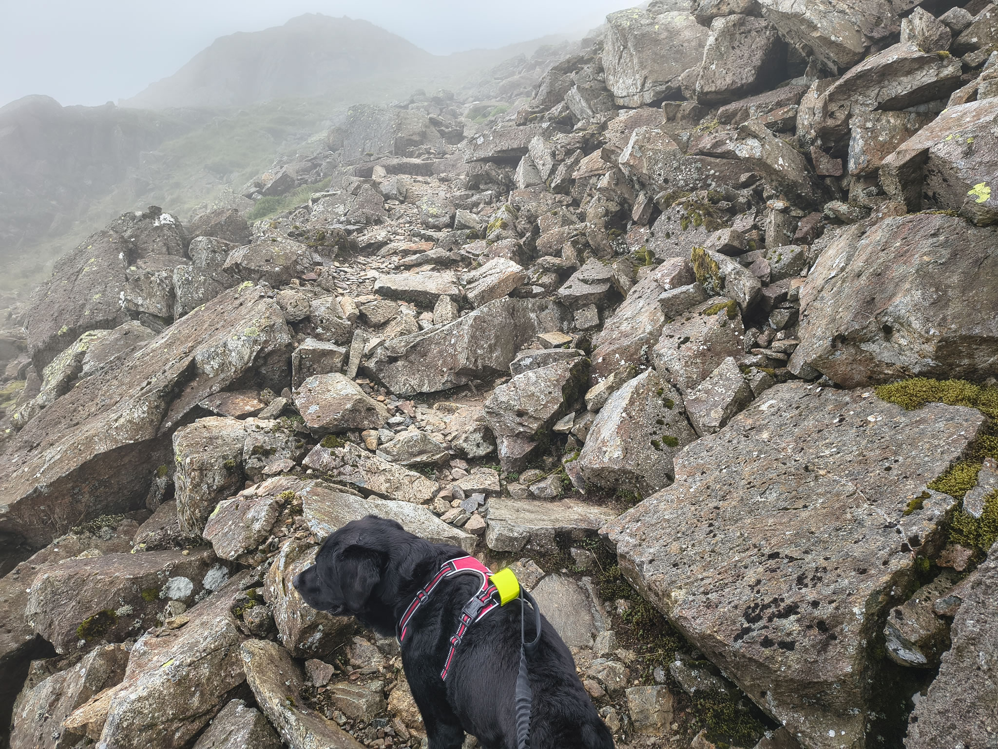 Crinkle Crags, Bowfell Jul 02, 2025 - Image 14