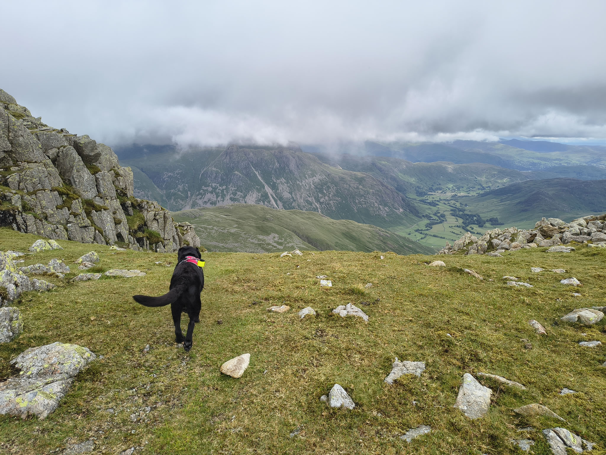 Crinkle Crags, Bowfell Jul 02, 2025 - Image 19