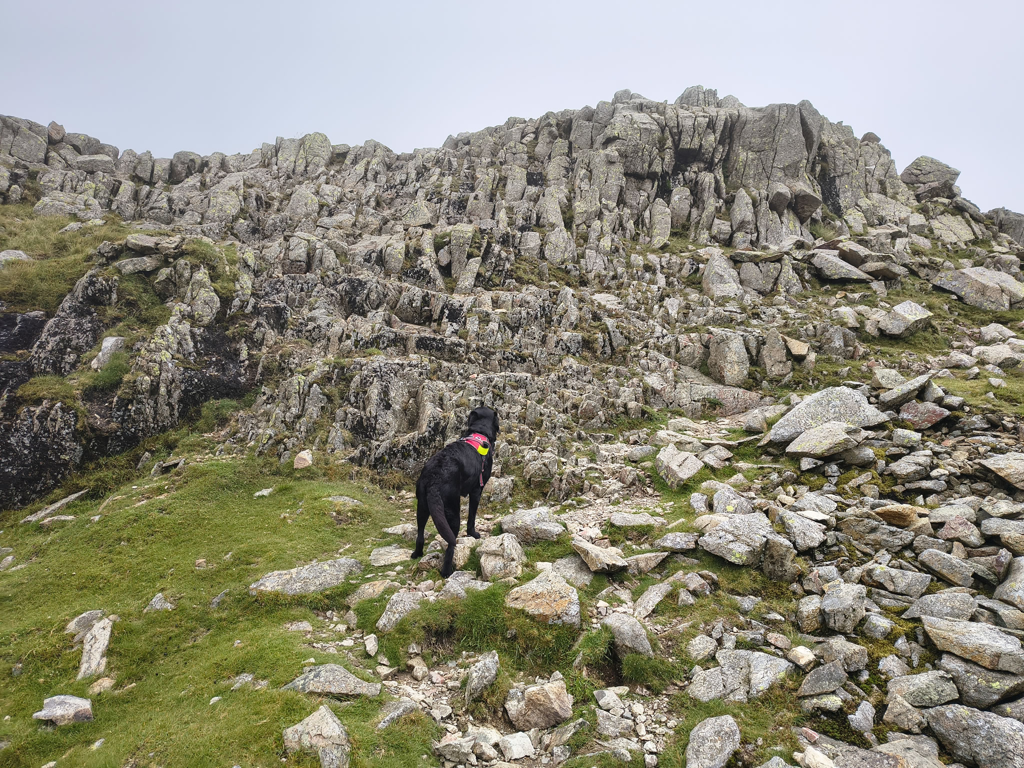 Crinkle Crags, Bowfell Jul 02, 2025 - Image 22