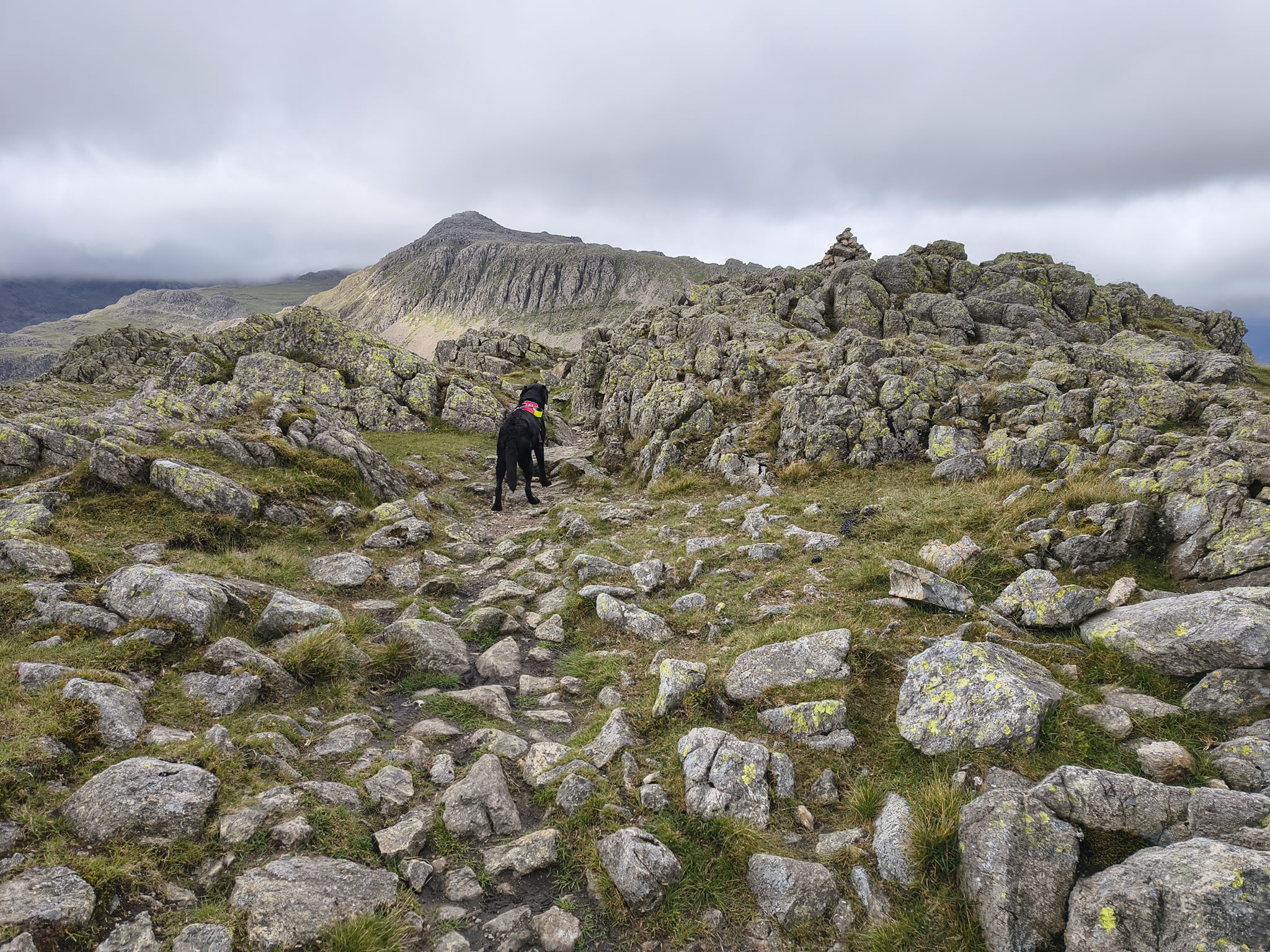 Crinkle Crags, Bowfell Jul 02, 2025 - Image 24