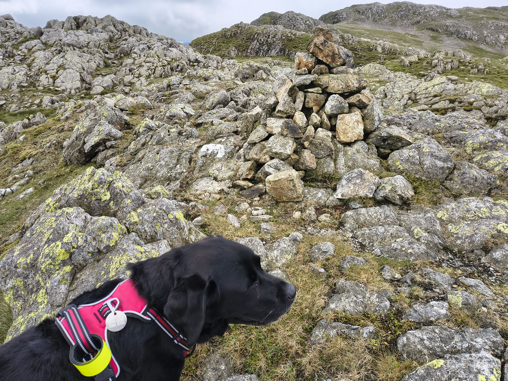 Crinkle Crags, Bowfell Jul 02, 2025 - Image 25
