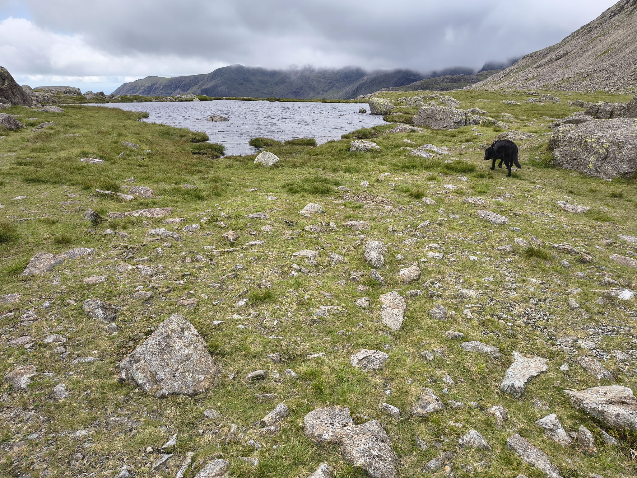 Crinkle Crags, Bowfell Jul 02, 2025 - Image 28