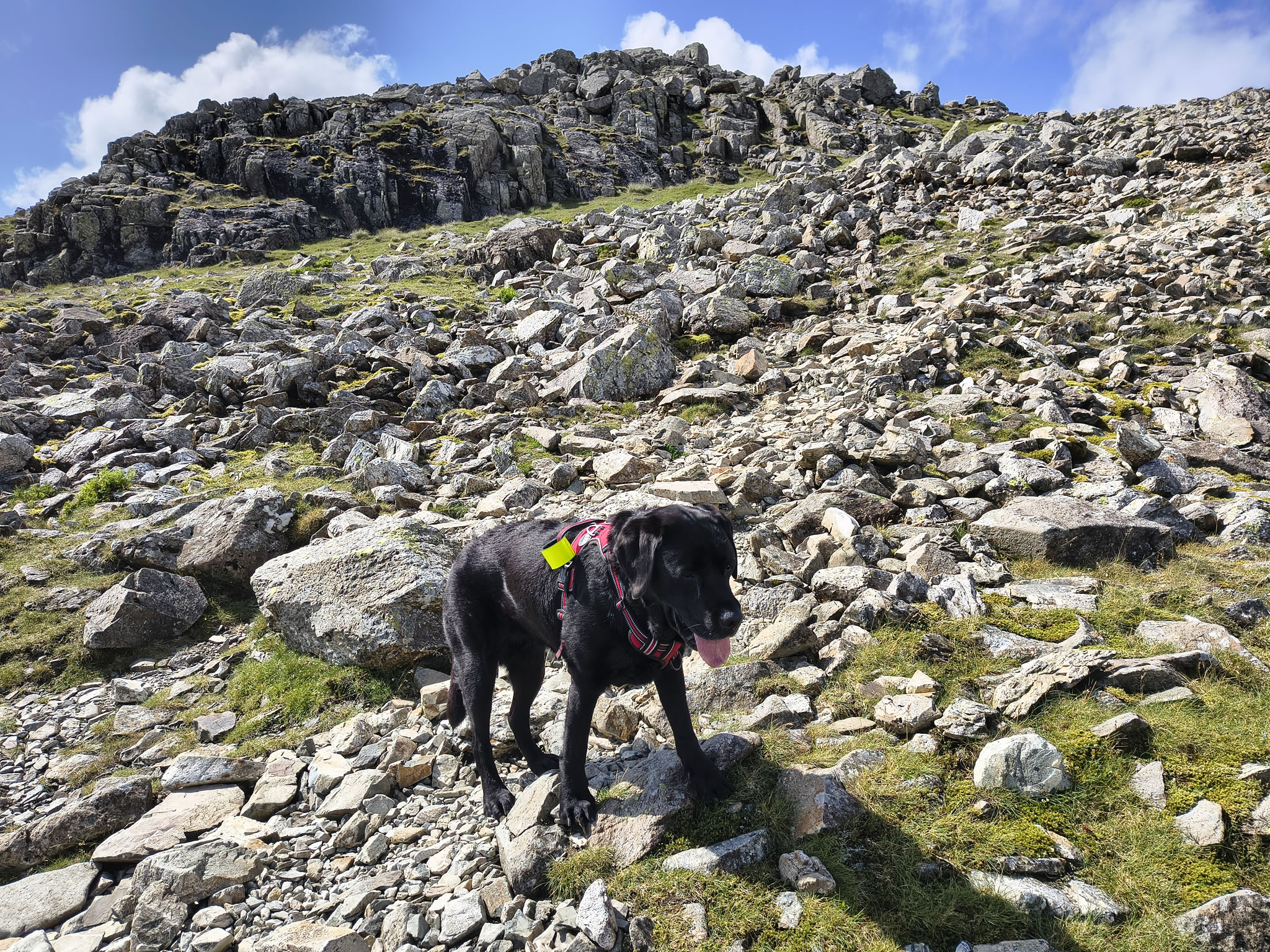Crinkle Crags, Bowfell Jul 02, 2025 - Image 30