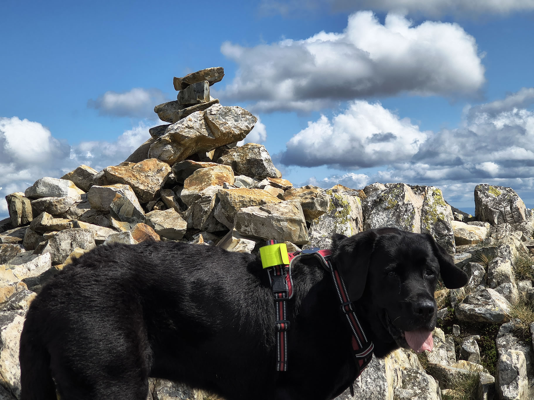 Crinkle Crags, Bowfell Jul 02, 2025 - Image 33