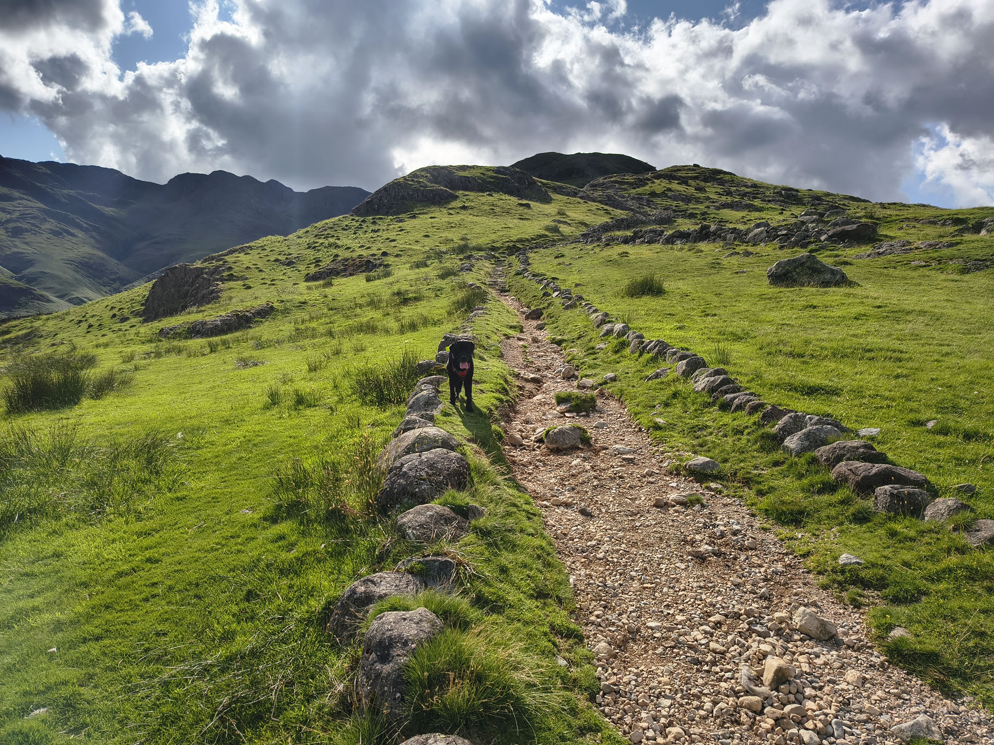 Crinkle Crags, Bowfell Jul 02, 2025 - Image 39