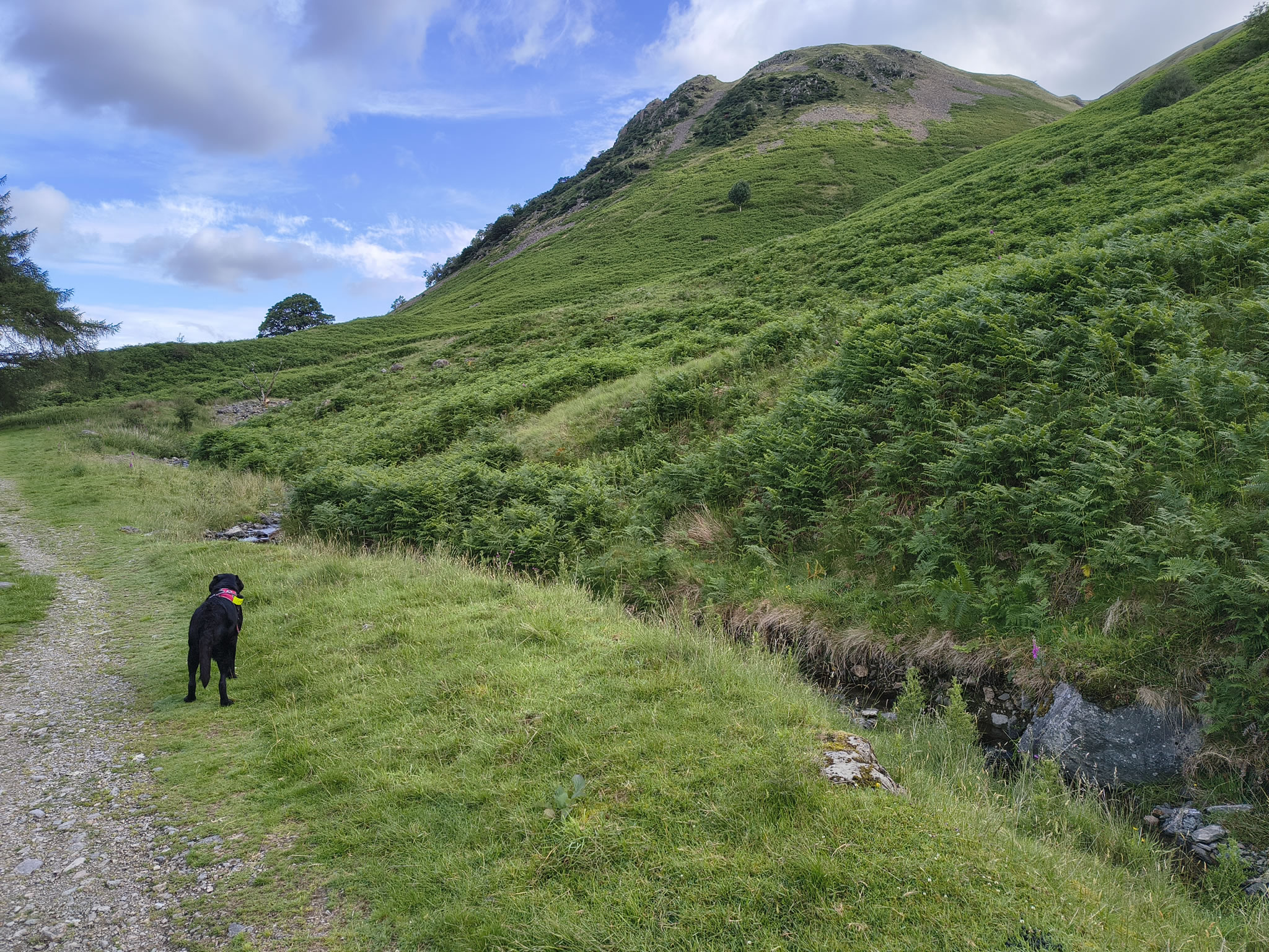 Angletarn Pikes Jul 03, 2025 - Image 3