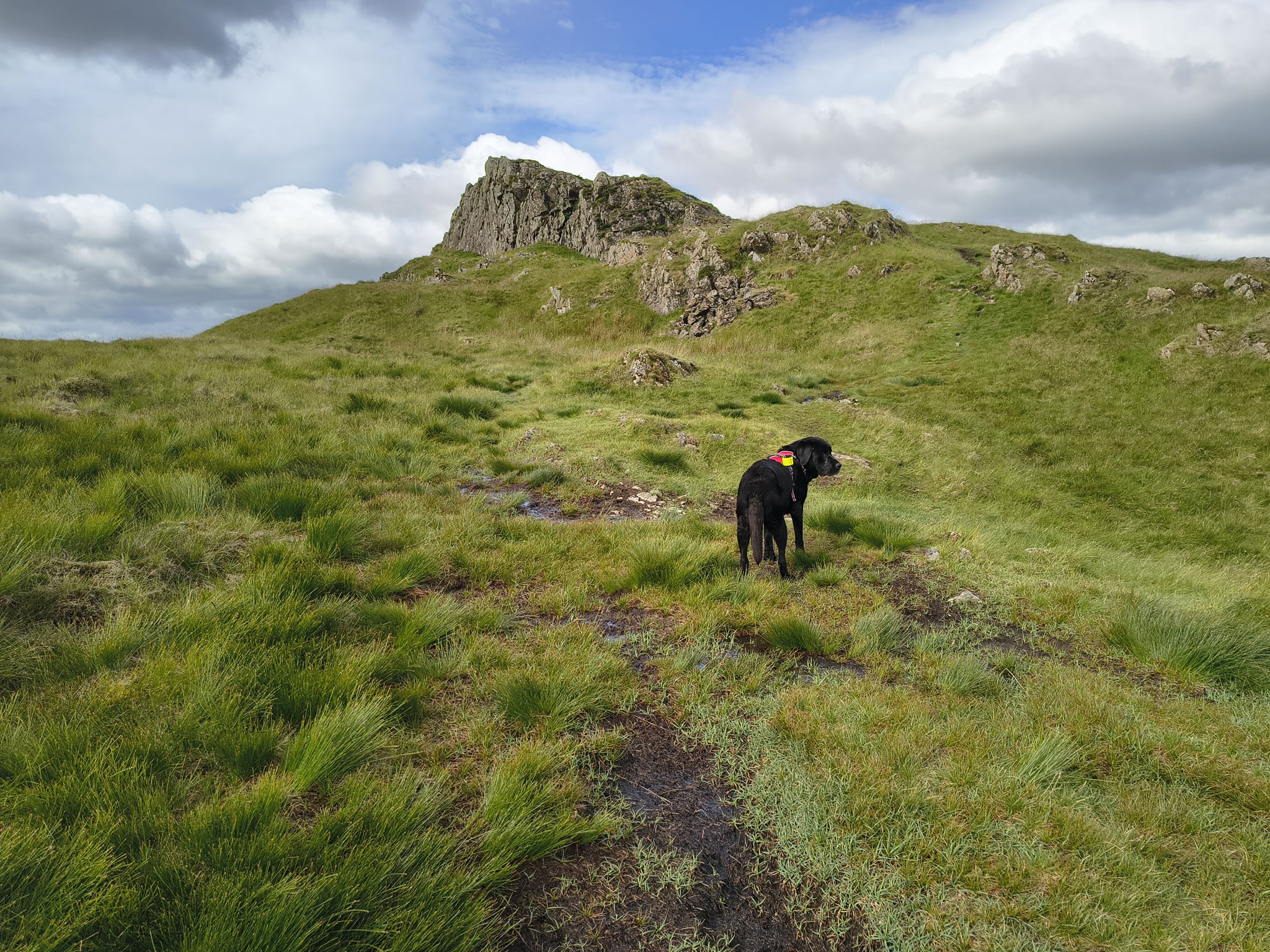 Angletarn Pikes Jul 03, 2025 - Image 11