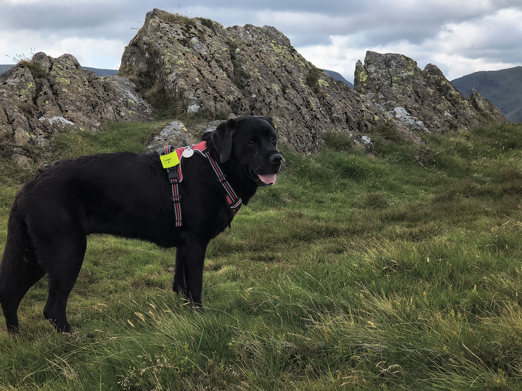 Angletarn Pikes Jul 03, 2025 - Image 12