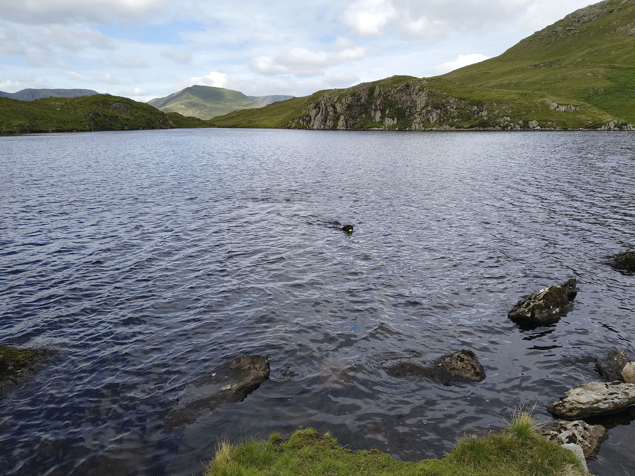 Angletarn Pikes Jul 03, 2025 - Image 15