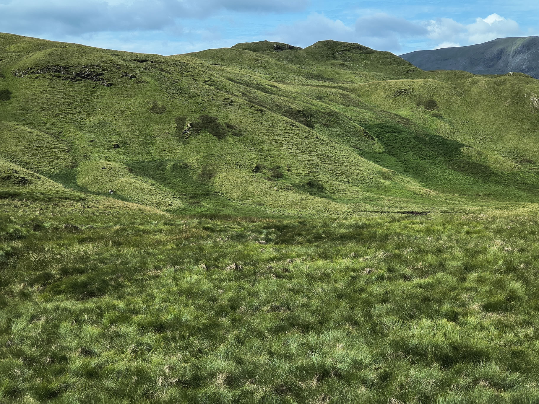 Angletarn Pikes Jul 03, 2025 - Image 19