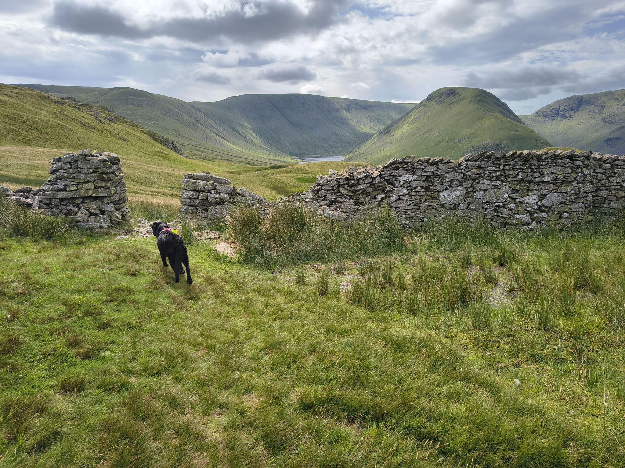 Angletarn Pikes Jul 03, 2025 - Image 20