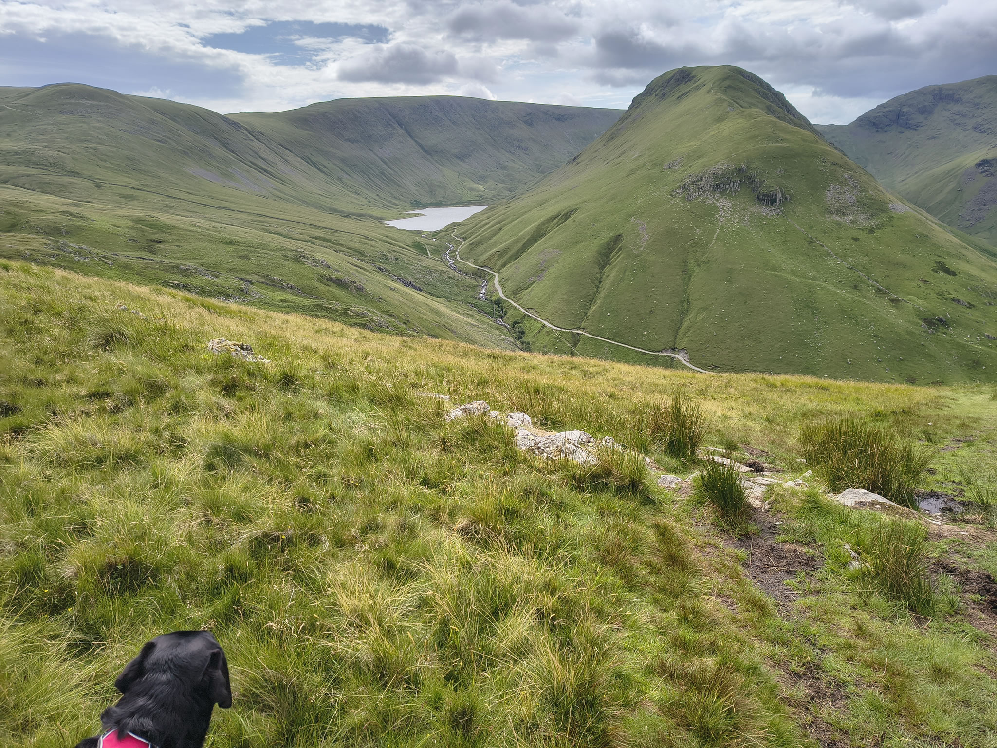 Angletarn Pikes Jul 03, 2025 - Image 22