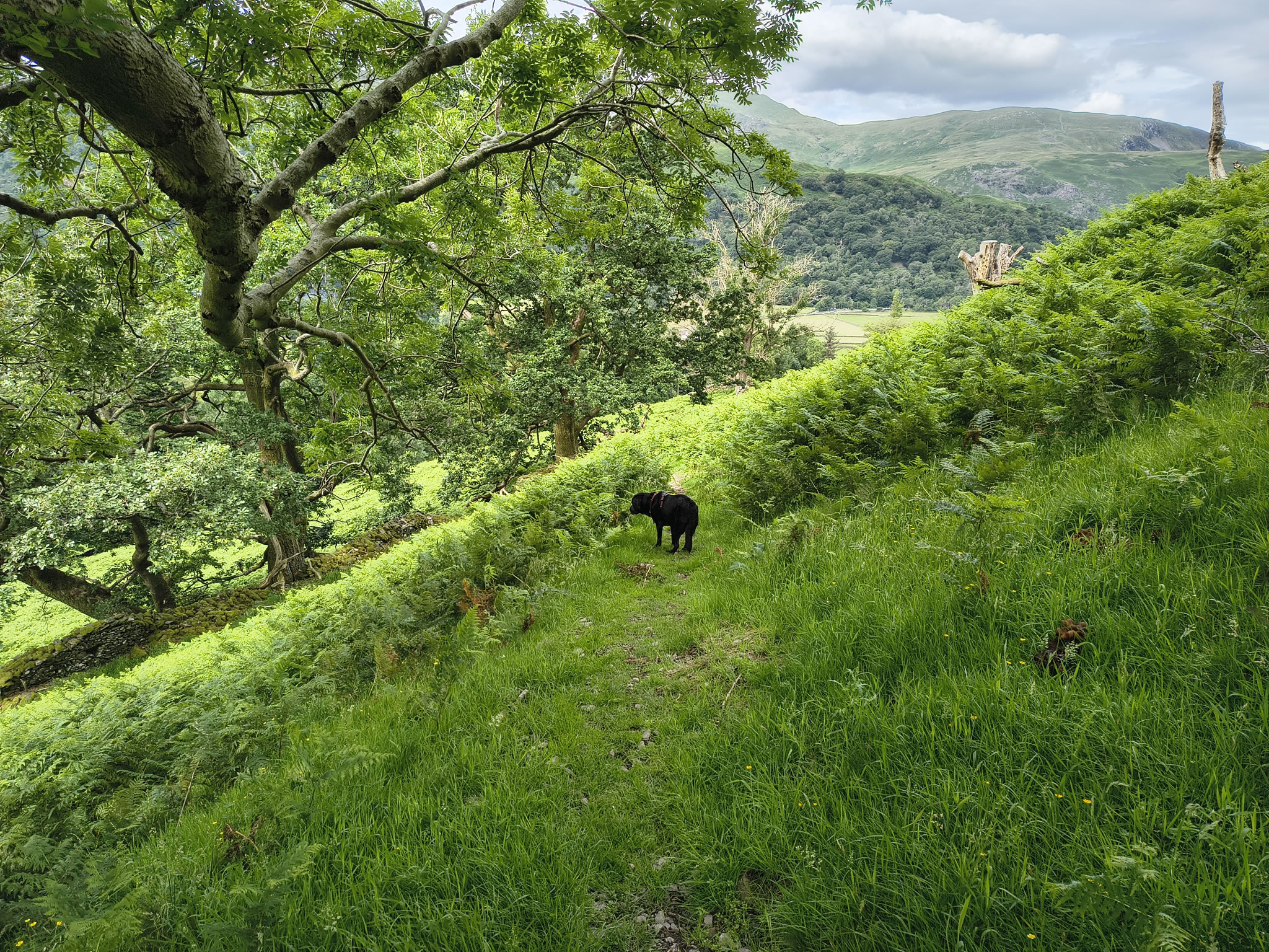 Angletarn Pikes Jul 03, 2025 - Image 25